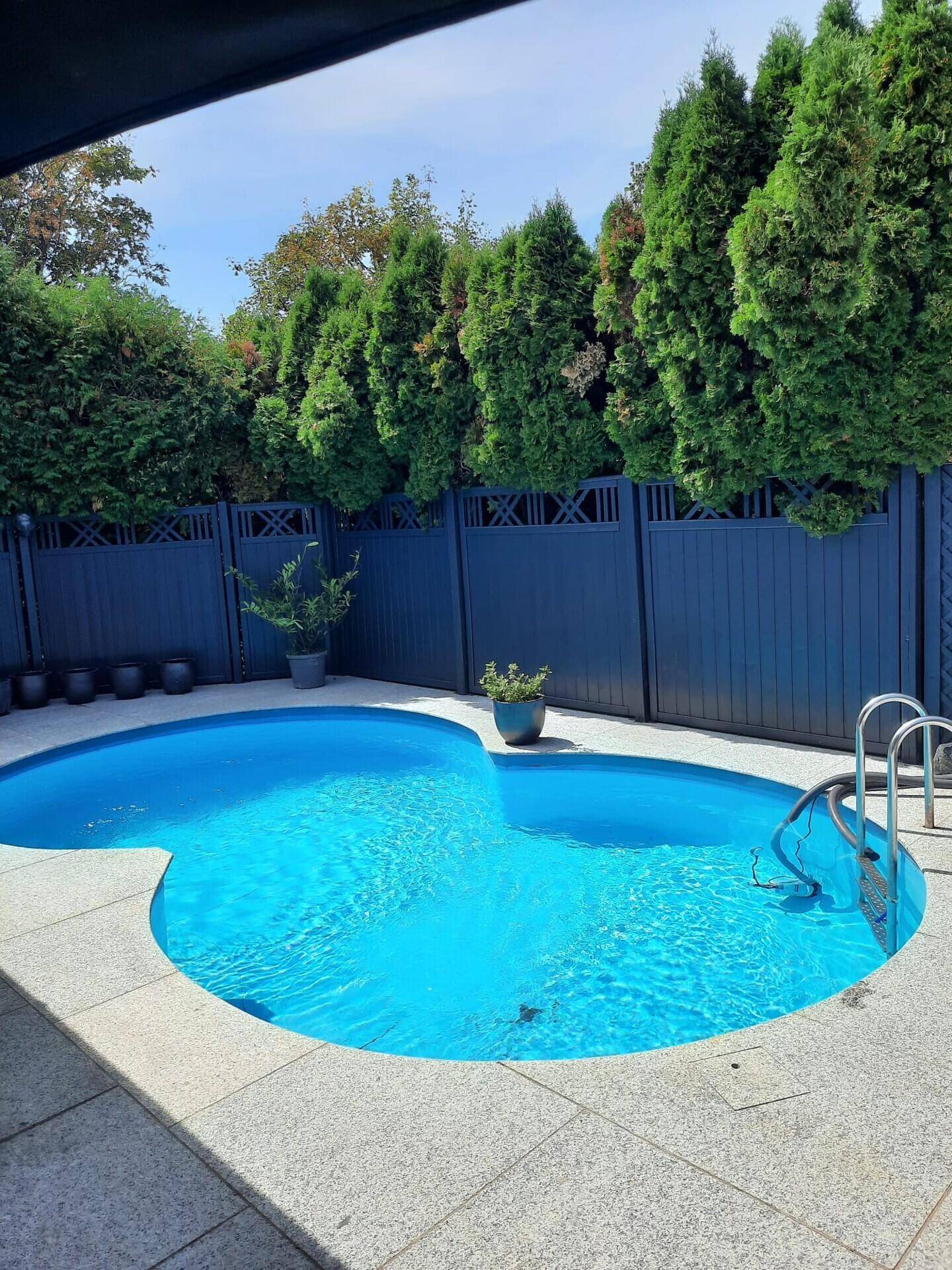 Einladender Swimmingpool im Garten, umgeben von einer blauen Zaunhecke und hohen Bäumen.