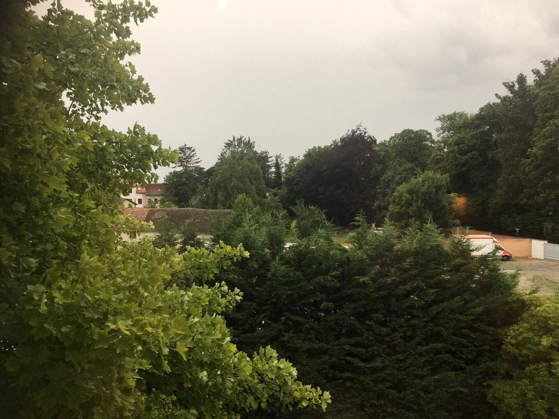 Weitläufiger Blick ins Grüne mit vielen Bäumen und einem bewölkten Himmel.