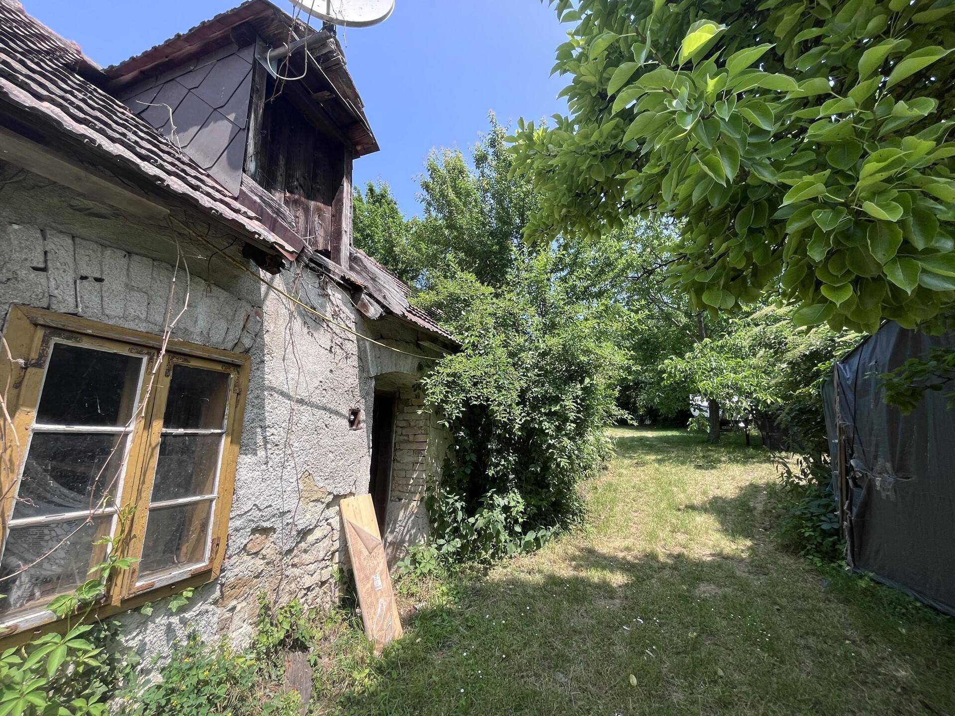 Altes, verfallenes Gebäude mit Satellitenschüssel und überwuchertem Gartenbereich.