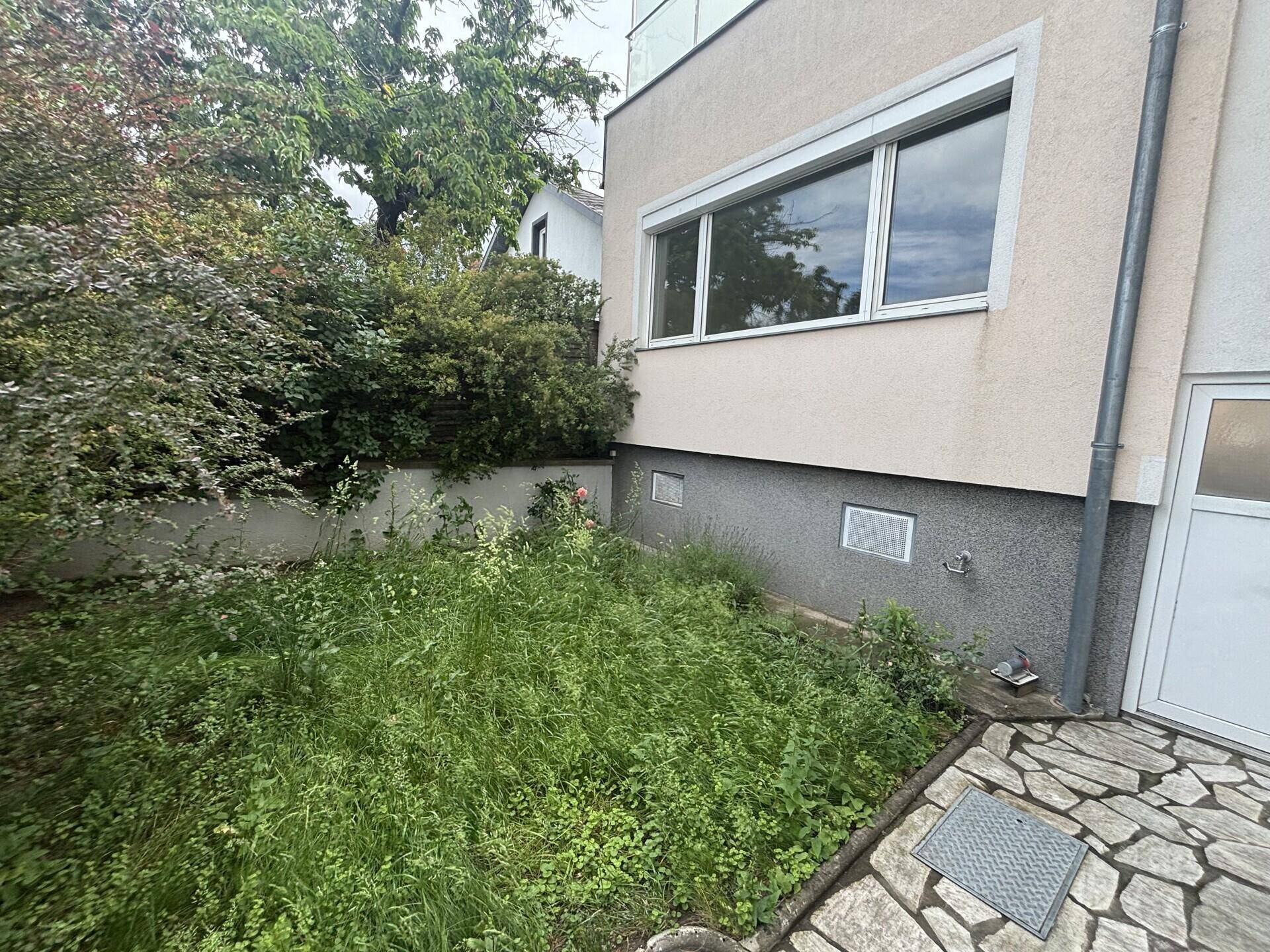 Ungepflegter Gartenbereich neben der Hausfassade mit großen Fenstern.