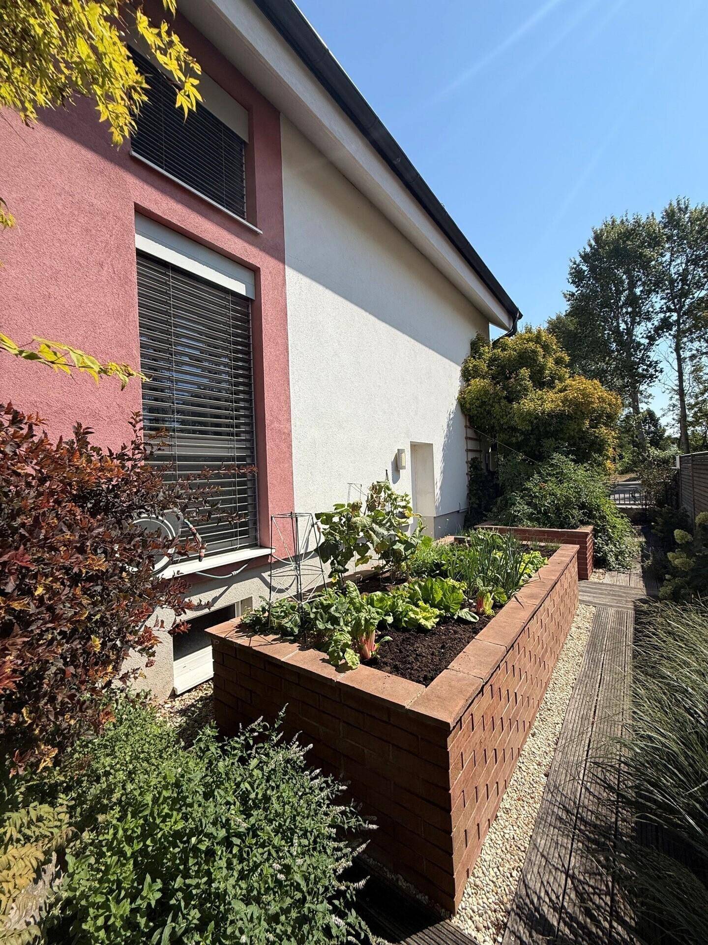 Hochbeet mit frischen Pflanzen und Gemüse, umgeben von einem gepflegten Gartenbereich.