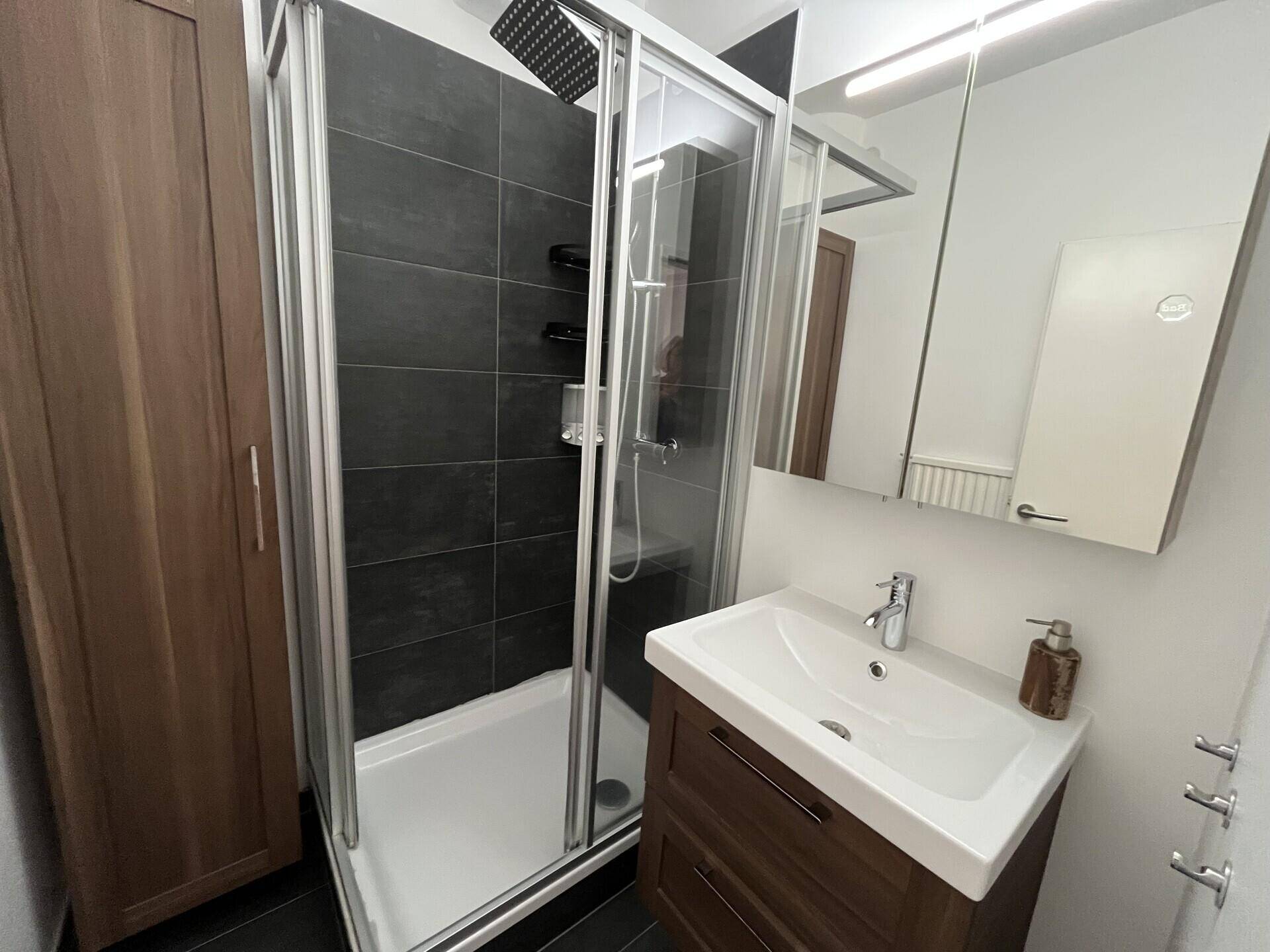 Modernes Badezimmer mit Duschkabine, dunklen Fliesen und einem Waschbecken mit Unterschrank.