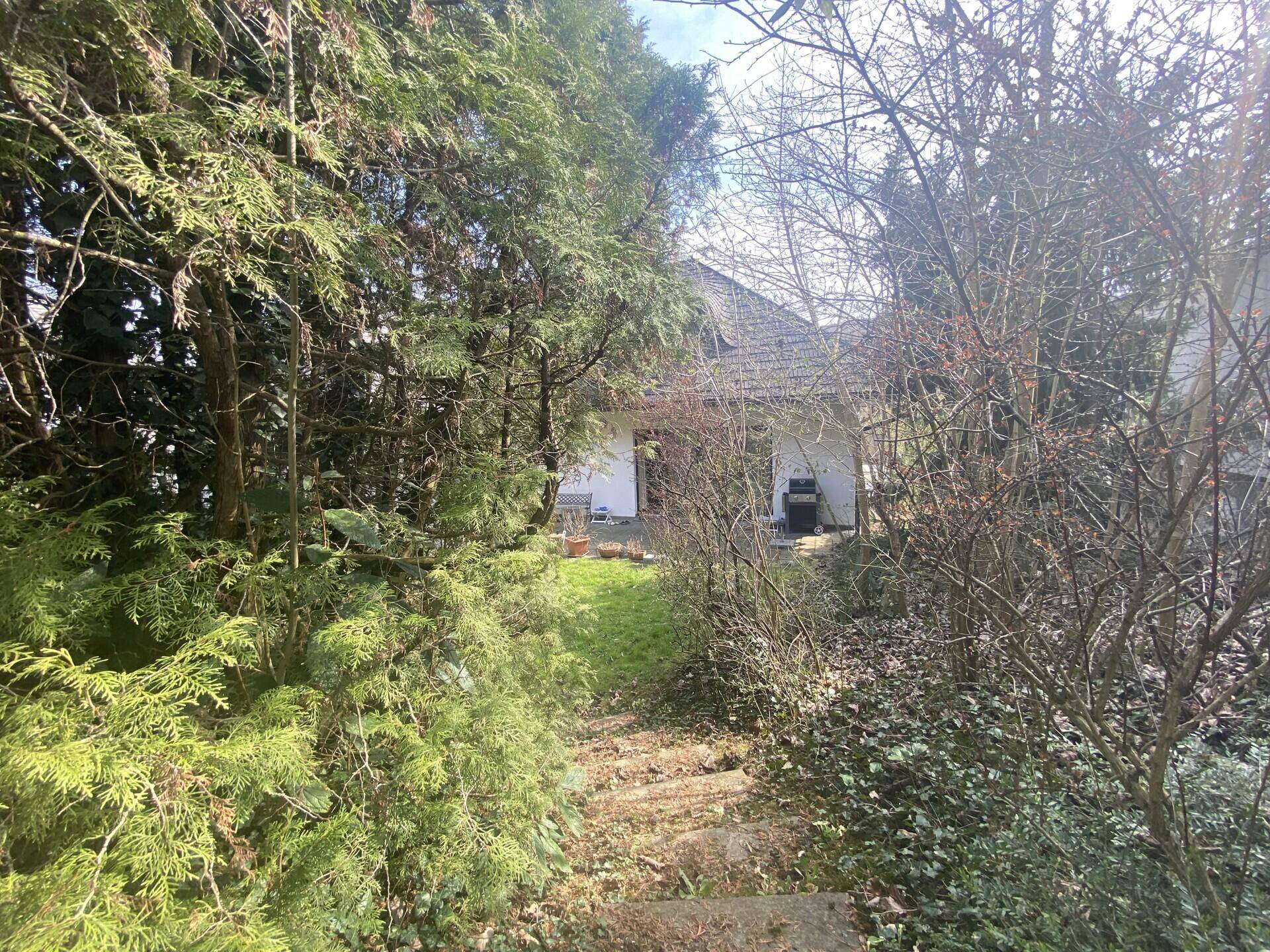 Gartenweg durch dichte Vegetation, der zum hinteren Bereich des Hauses führt.