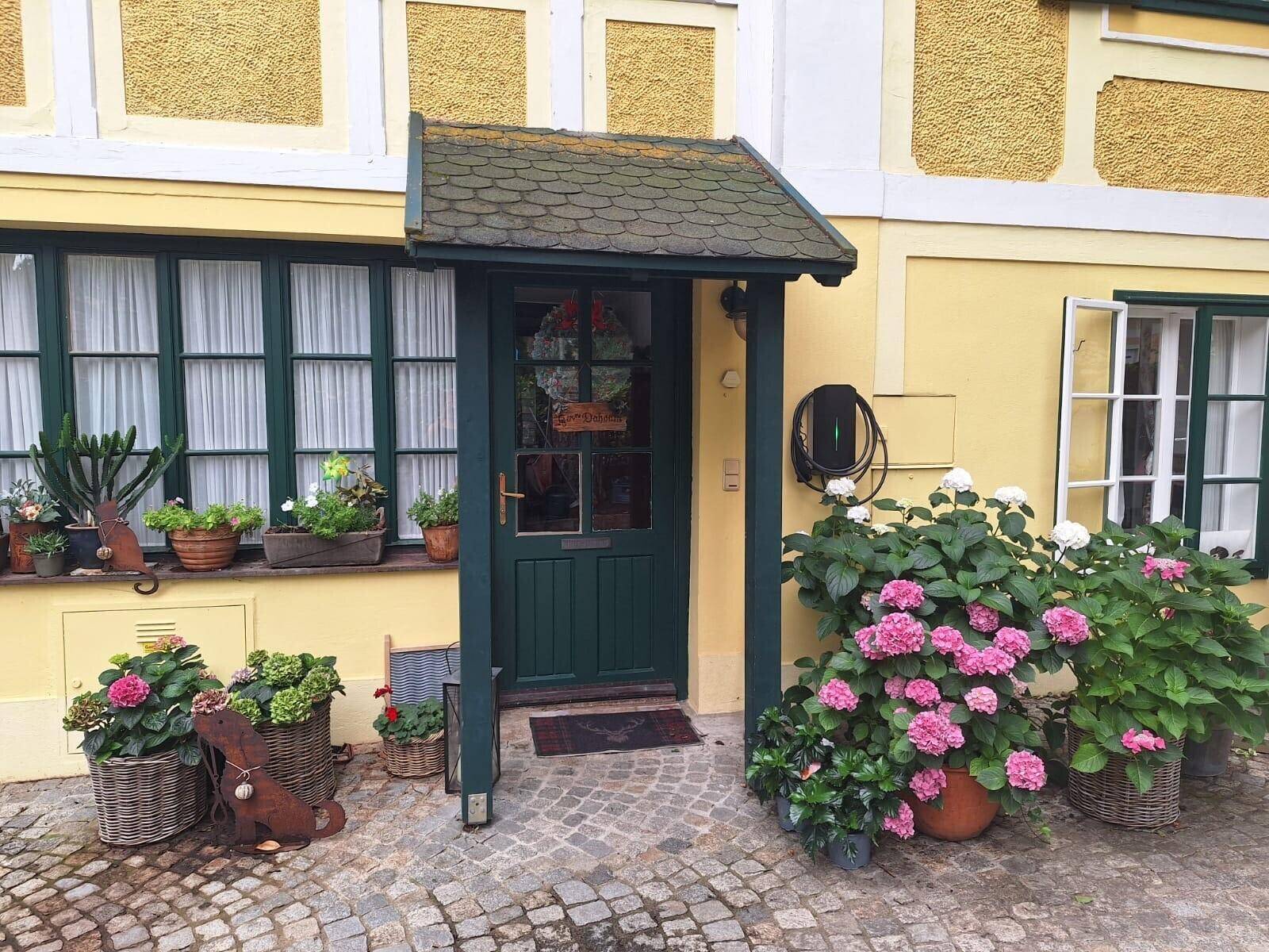 Eingangsbereich mit grüner Tür, überdachtem Vordach und blühenden Hortensien.