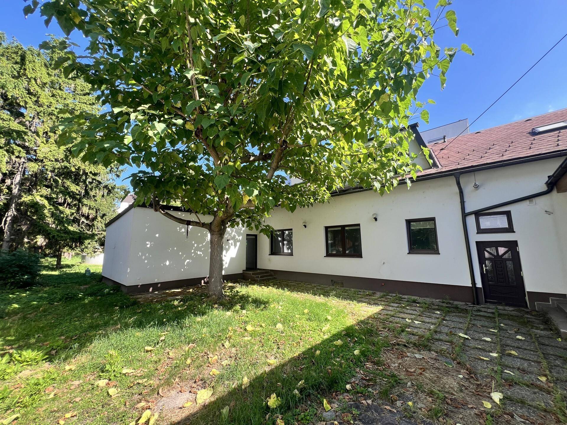 Gartenbereich mit altem Baumbestand, Rasen und Zugang zum Haus.