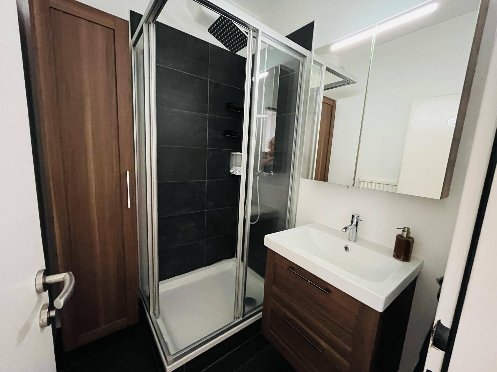 Modernes Badezimmer mit Dusche, Waschbecken und dunklen Fliesen.