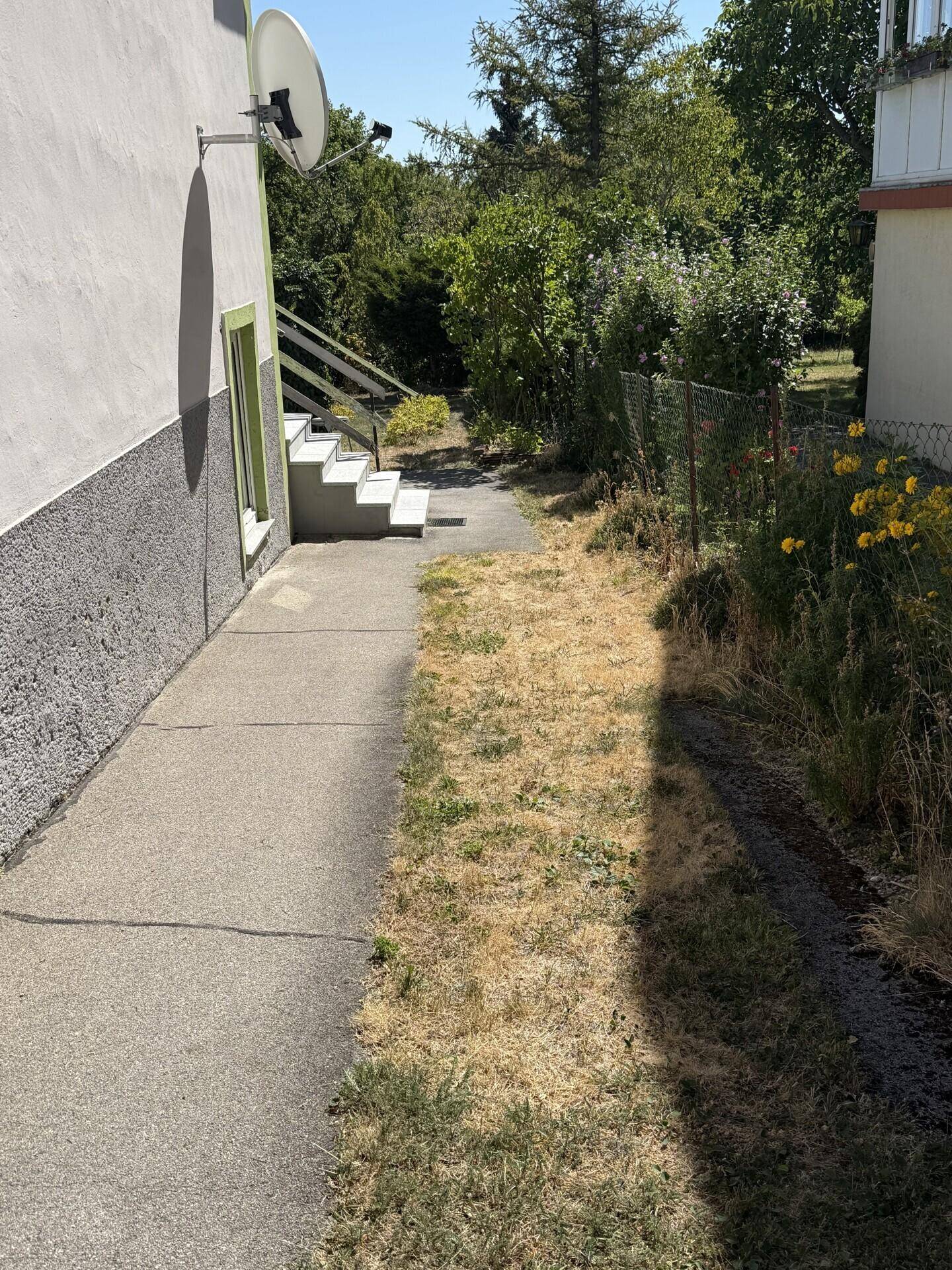 Seitenansicht des Hauses mit einem gepflasterten Weg und einem verwilderten Gartenbereich.