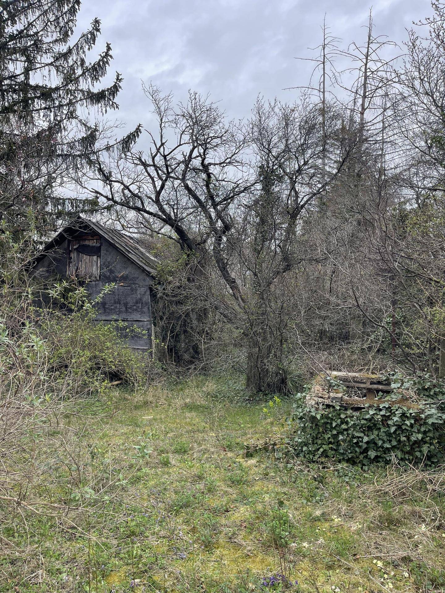 Verwilderter Gartenbereich mit kahlen Bäumen und einem alten, verfallenen Schuppen unter bewölktem Himmel.