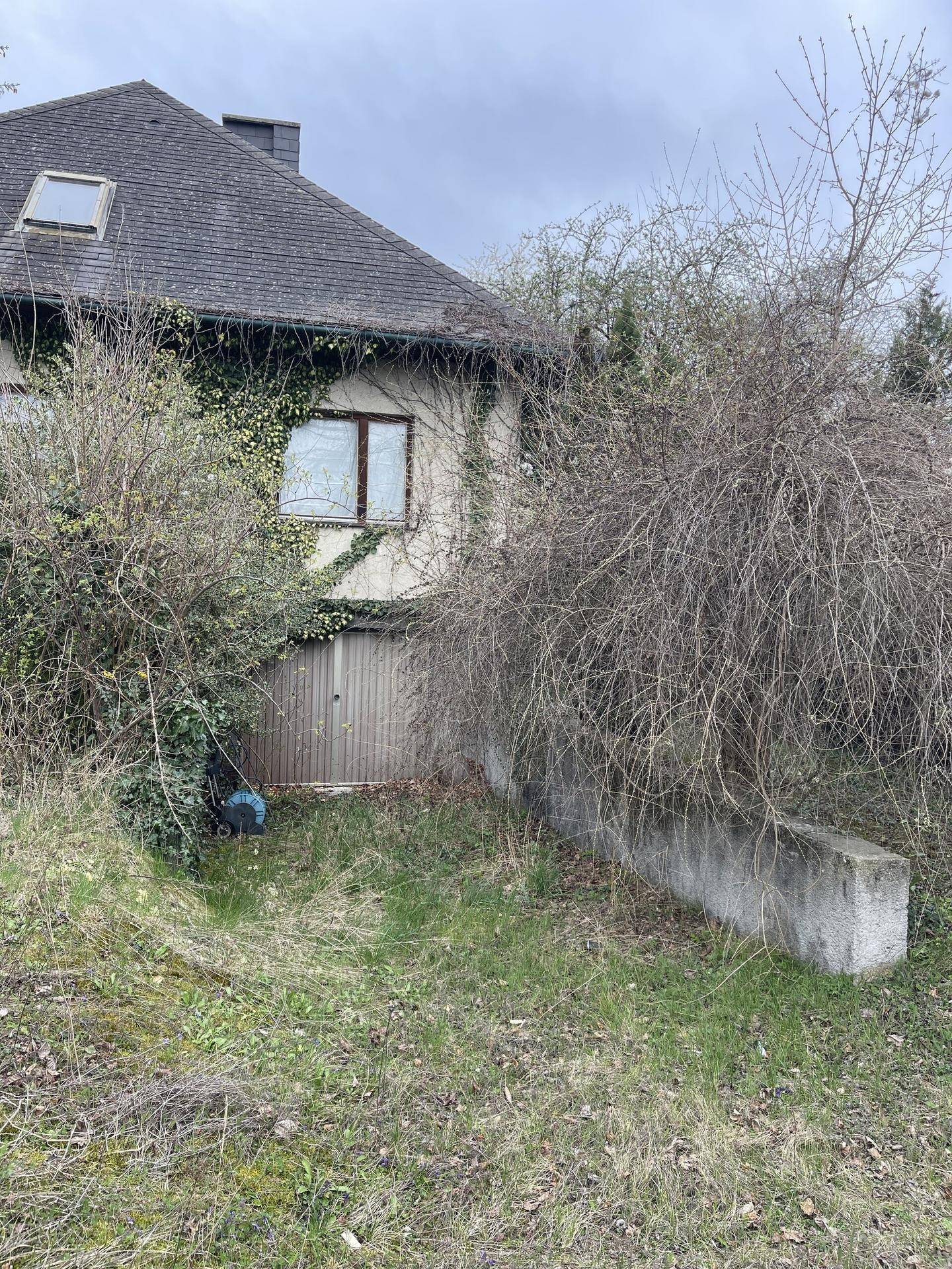 Seitenansicht des Hauses mit Garagentor, umgeben von dichtem Bewuchs und kahlen Bäumen.