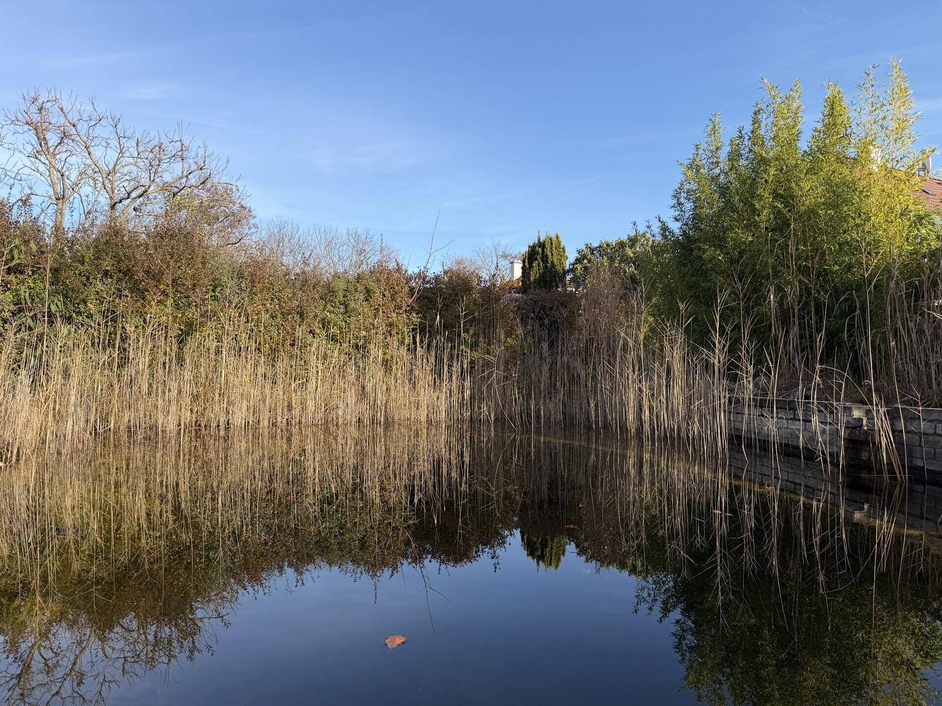 Charmantes Haus mit Schwimmteich - Ansicht 5