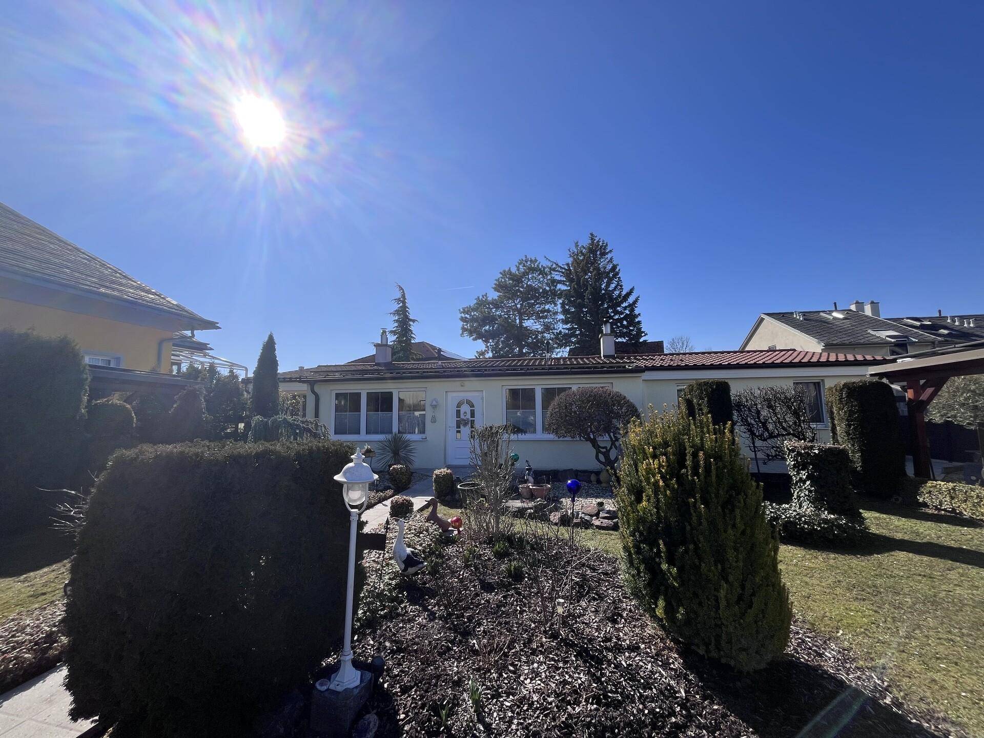 IMG_5947.jpeg