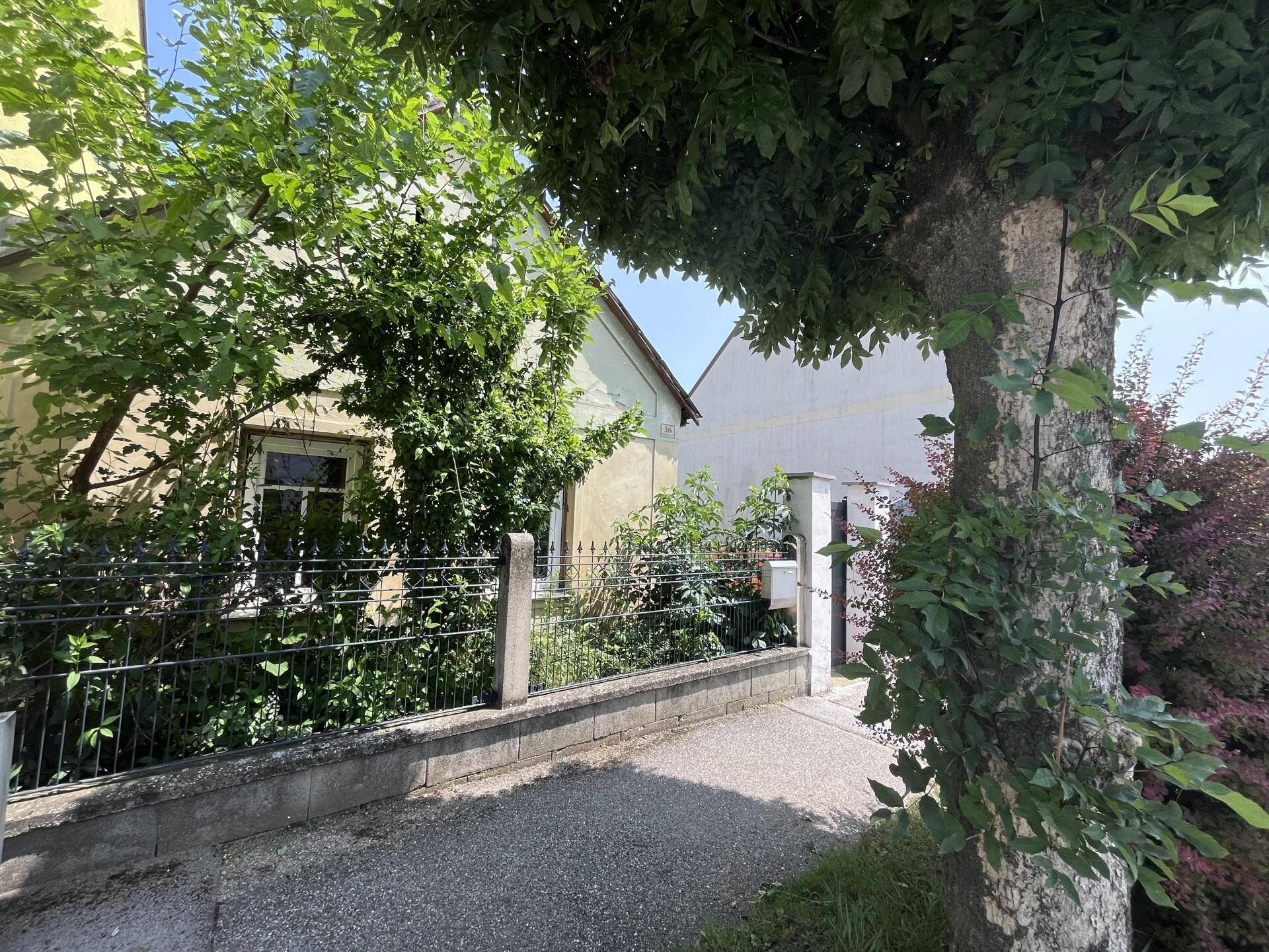 Hausansicht von der Straße, teilweise von Bäumen und Zaun verdeckt.