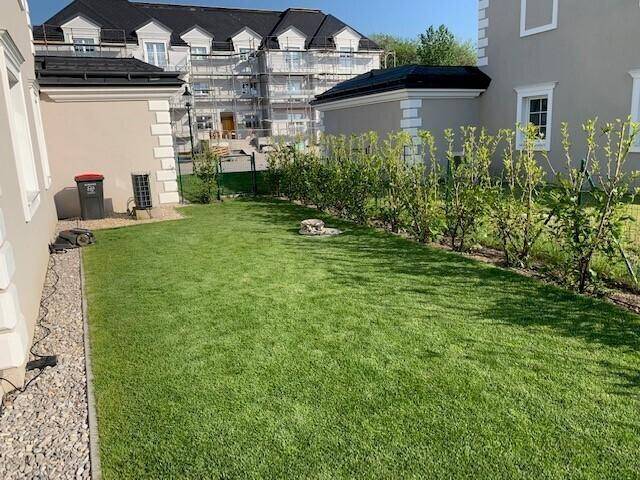 Garten 1.jpg