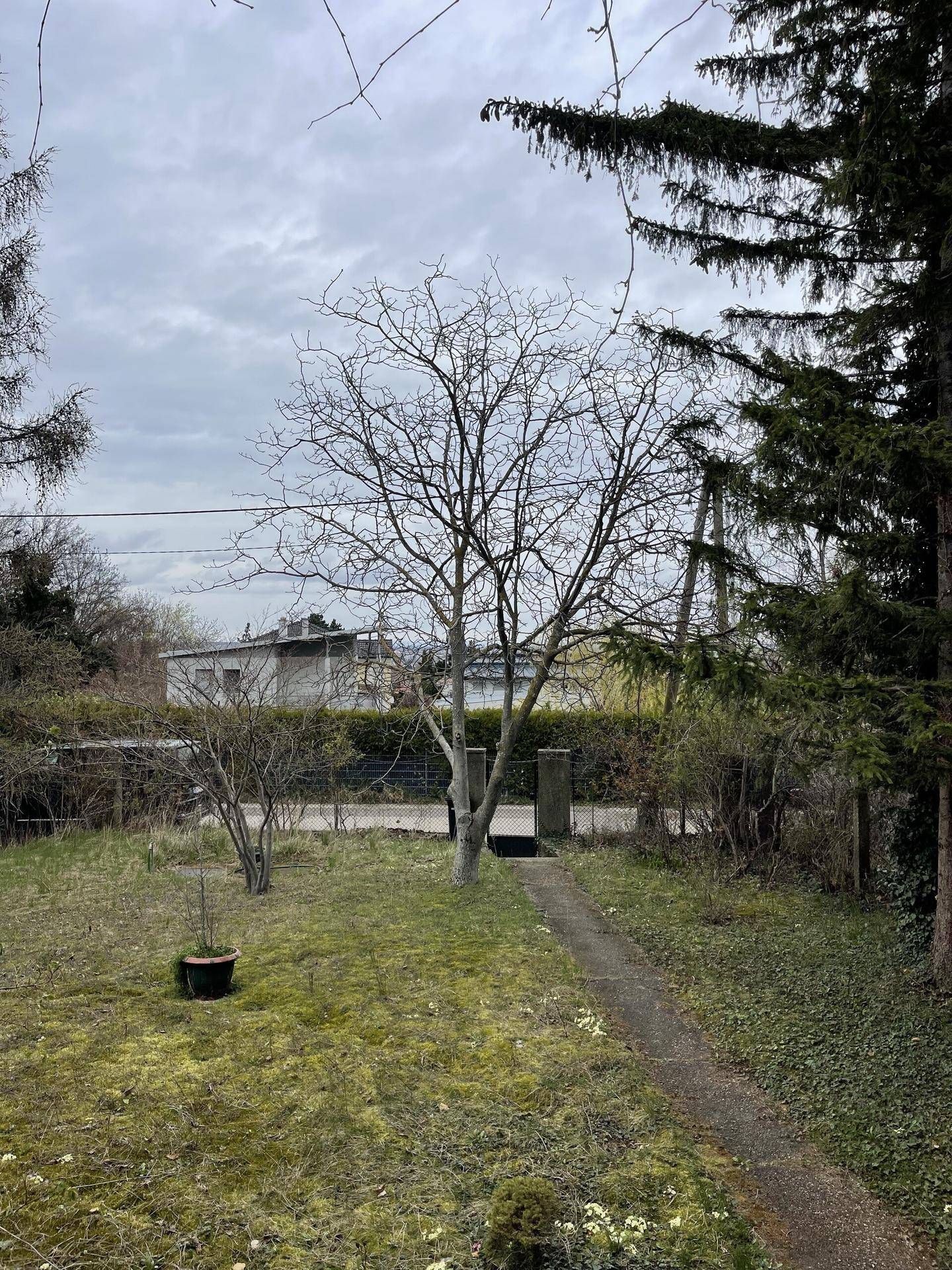Gartenbereich mit kahlen Bäumen, einem Pfad und Blick auf ein Haus im Hintergrund unter bewölktem Himmel.