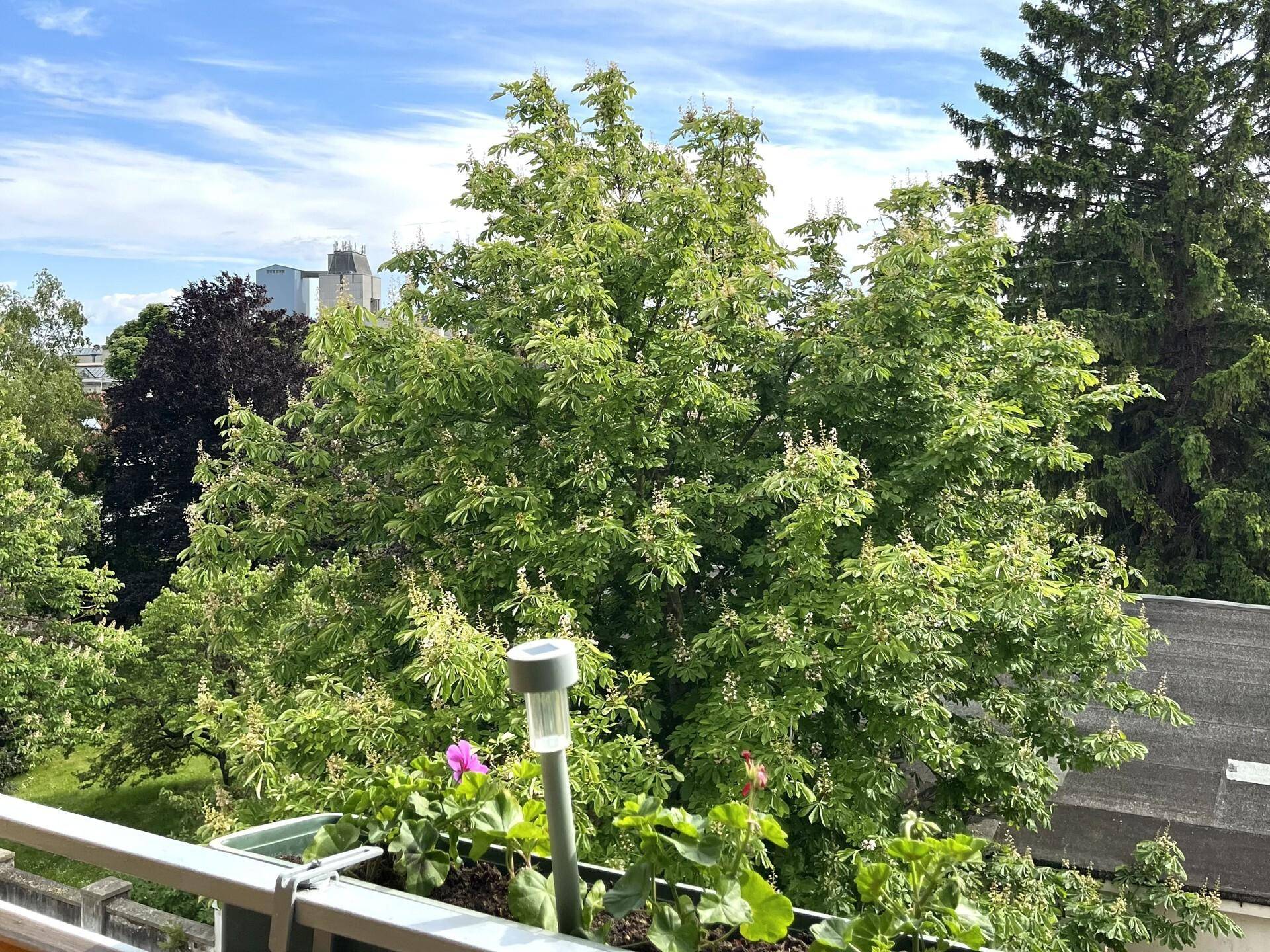 Ausblick