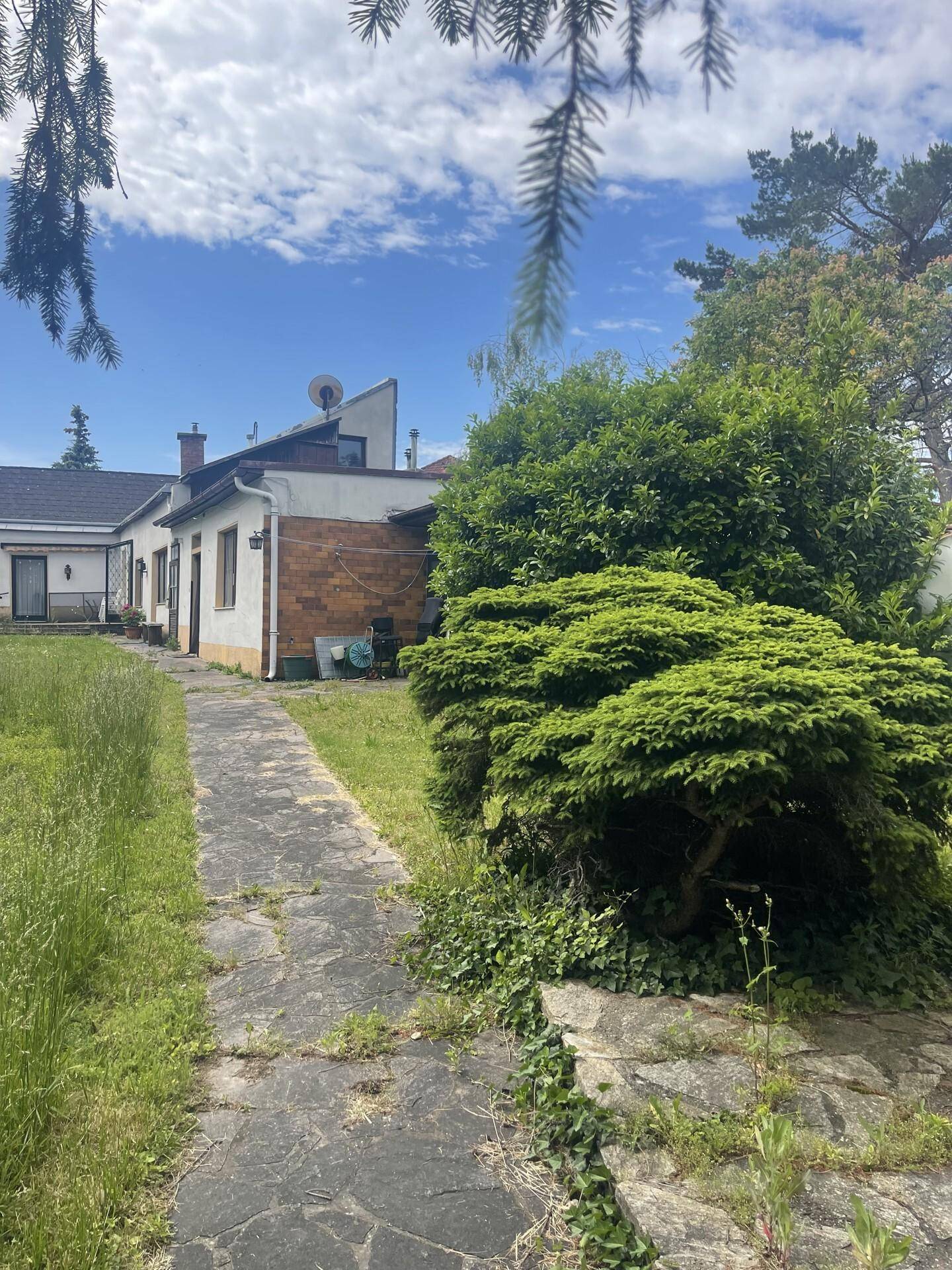 Hinterhof des Hauses mit einem verwilderten Gartenweg und üppiger Vegetation.