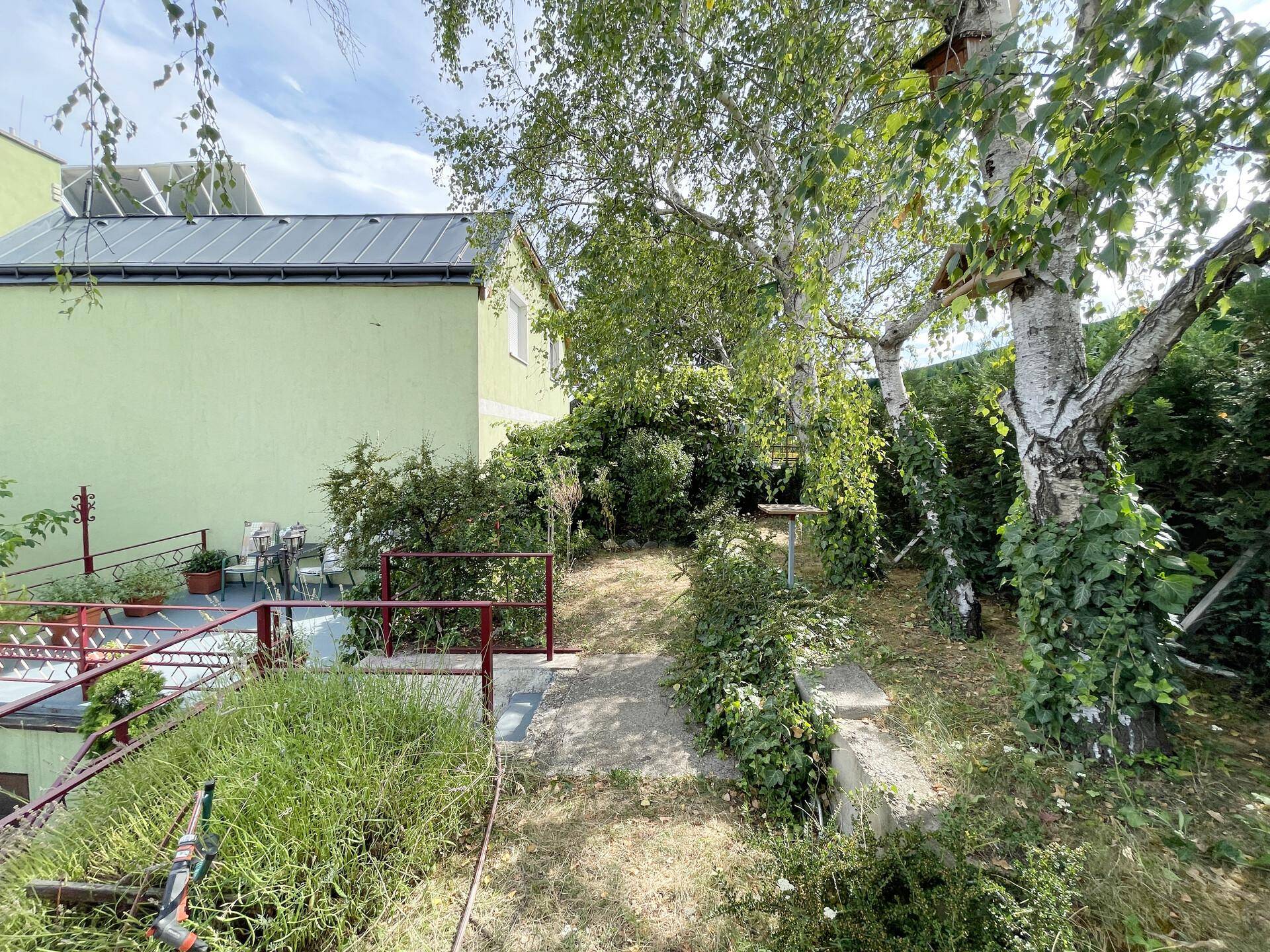 Naturbelassener Gartenbereich mit hohen Bäumen und Zugang zur Terrasse.