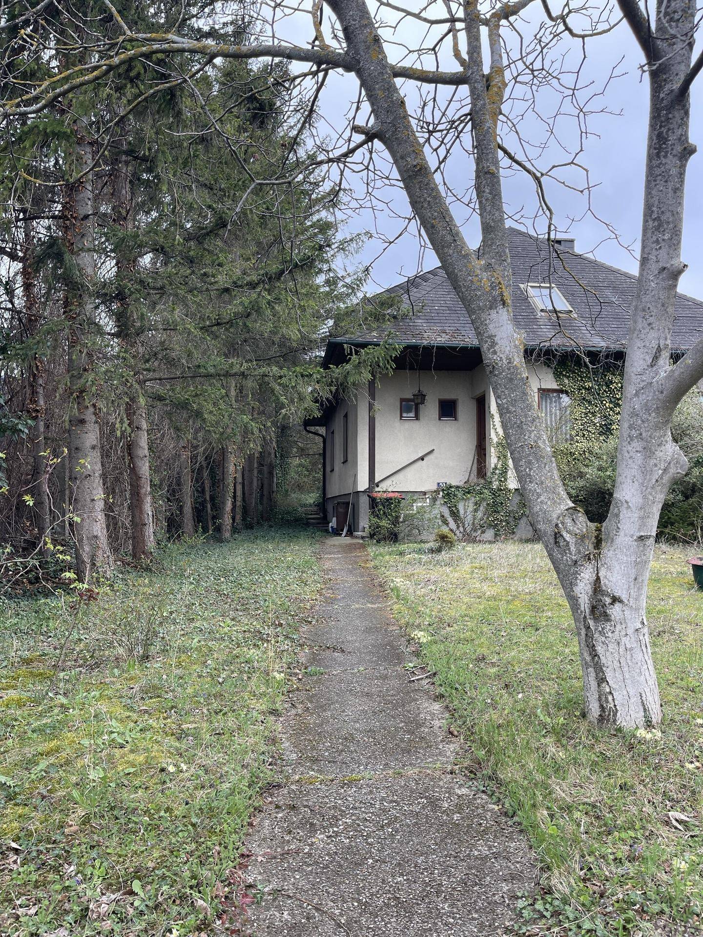 Weg führt zum Haus, umgeben von kahlen Bäumen und einem verwilderten Garten unter bewölktem Himmel.