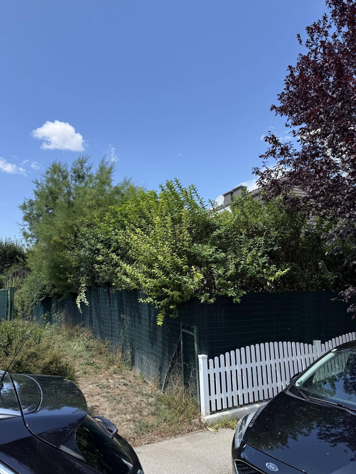 Straßenansicht mit hohem grünen Zaun und weißem Lattenzaun im Vordergrund.