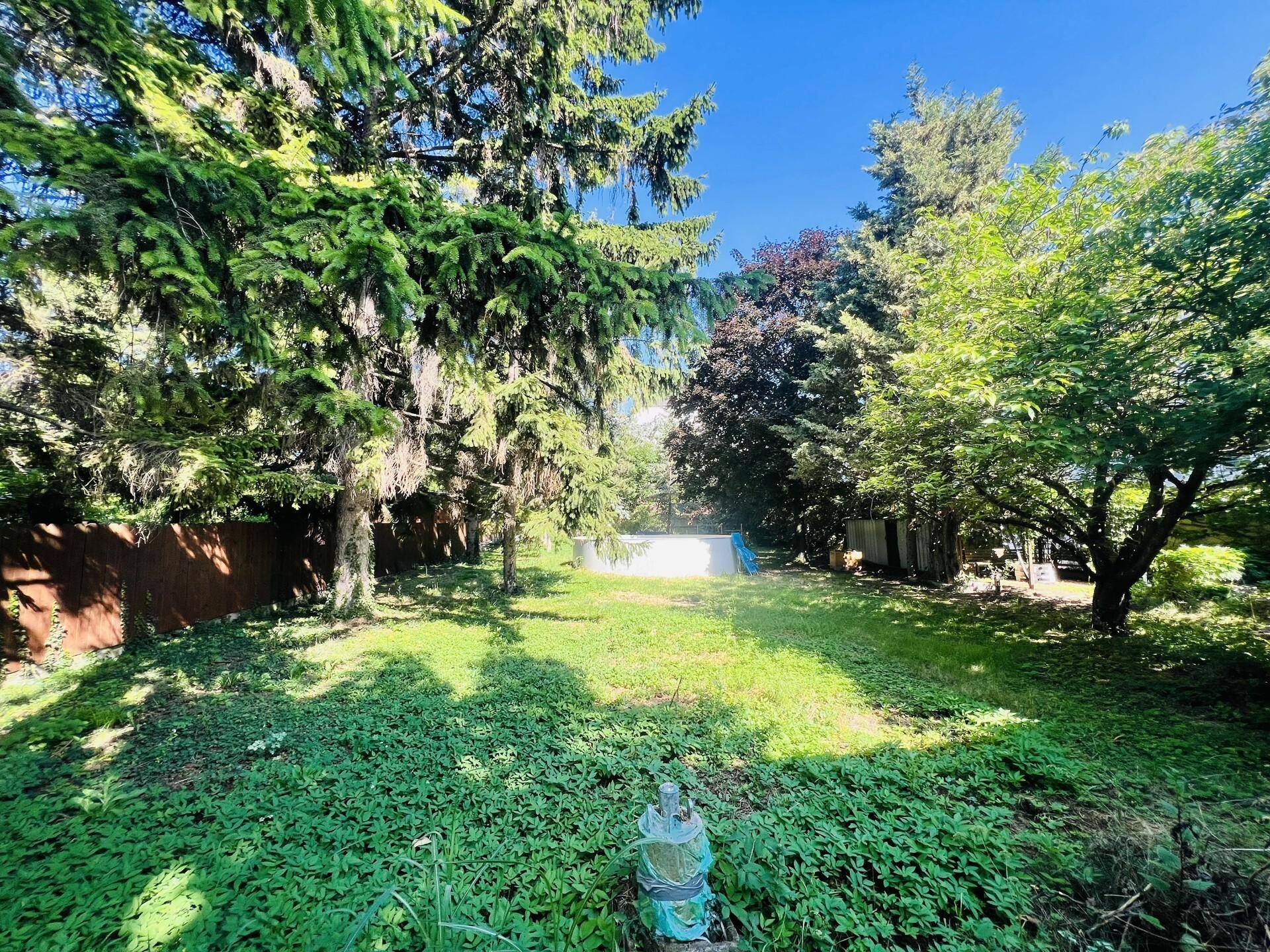 Großer, grüner Garten mit hohen Bäumen und einem sichtbaren Pool im Hintergrund.