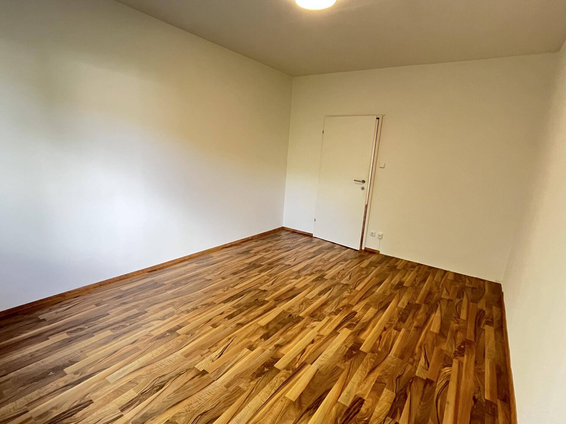 Geräumiger Raum mit attraktivem Laminatboden und einer Tür, ideal für Schlaf- oder Arbeitszimmer.