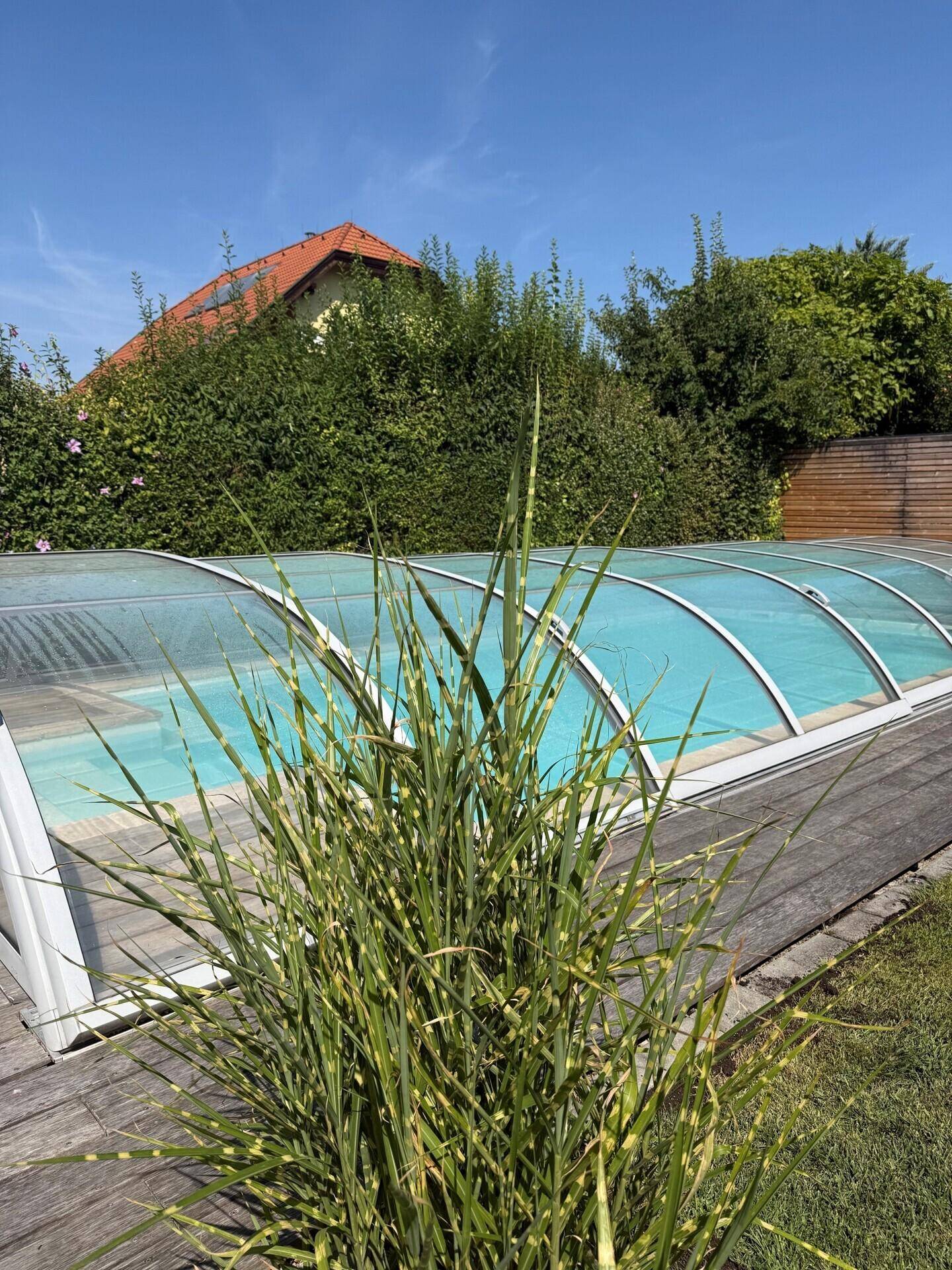 Überdachter Swimmingpool mit Holzdeck und üppiger Bepflanzung im sonnigen Gartenbereich.