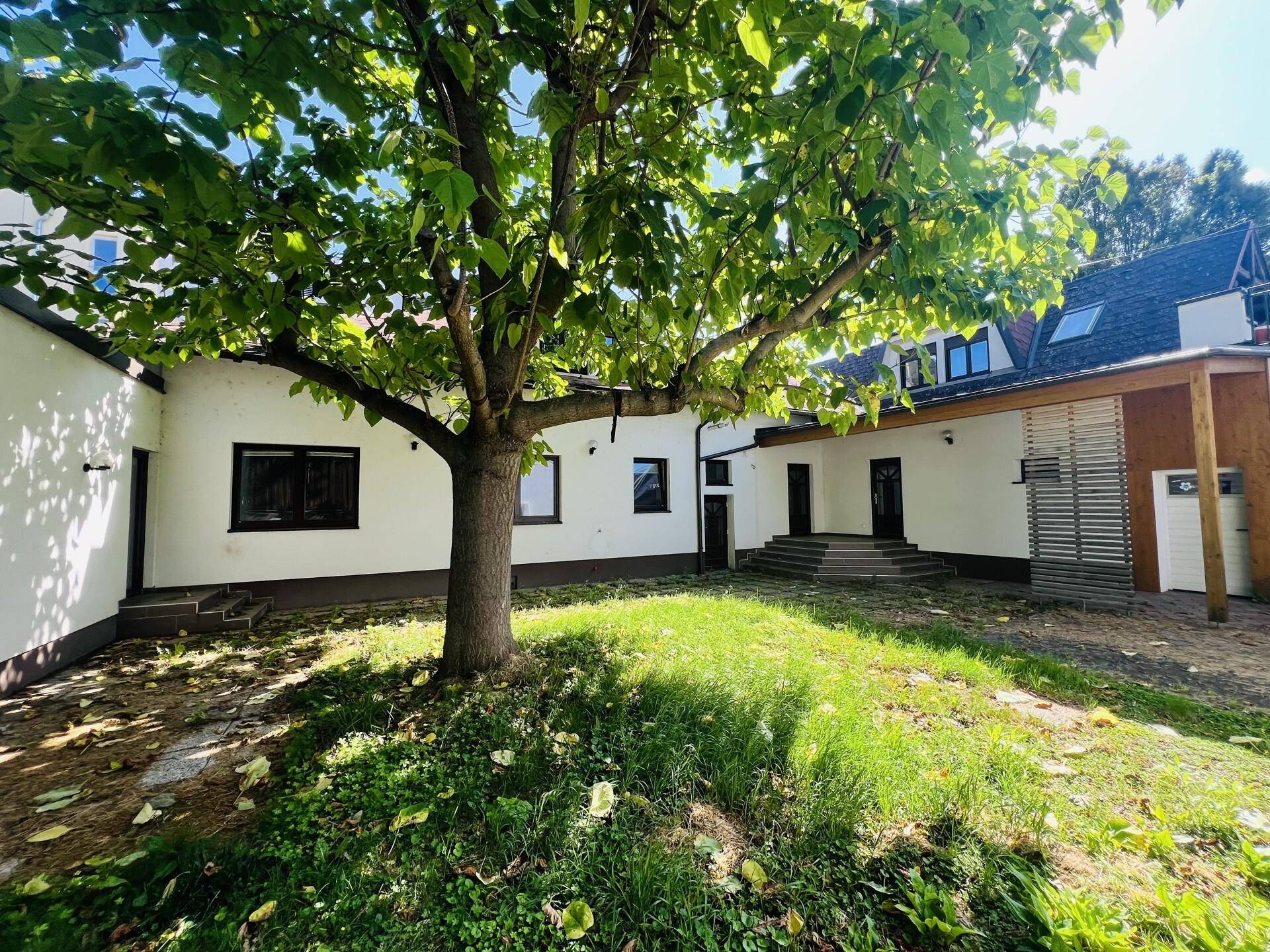 Grüner Garten mit großem Baum im Vordergrund und Blick auf das Haus.