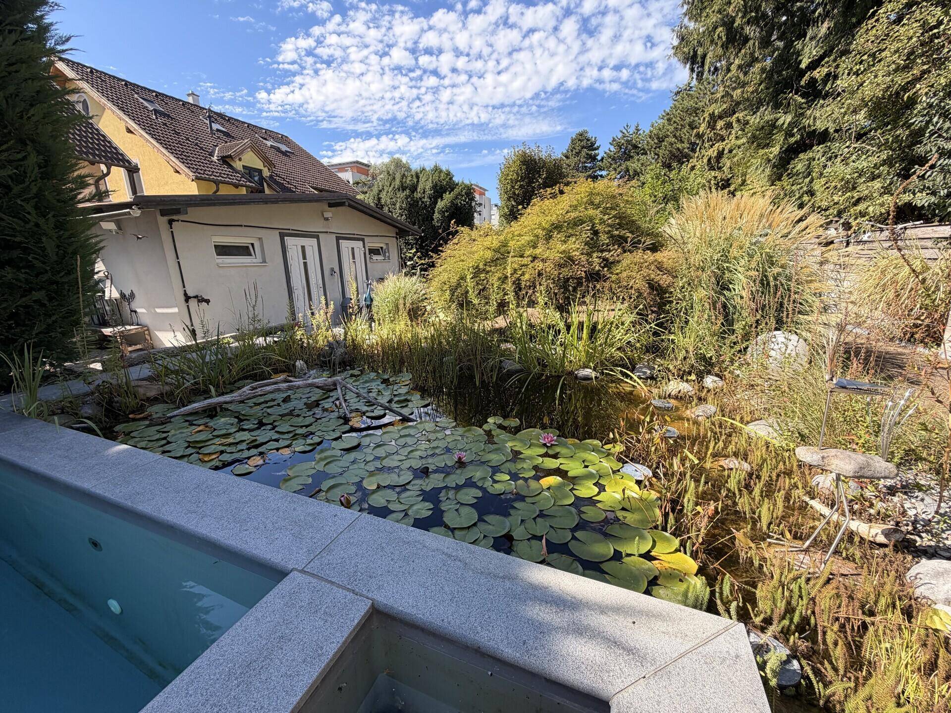 Naturteich mit Seerosen im Garten, angrenzend an das Haus mit Poolbereich.