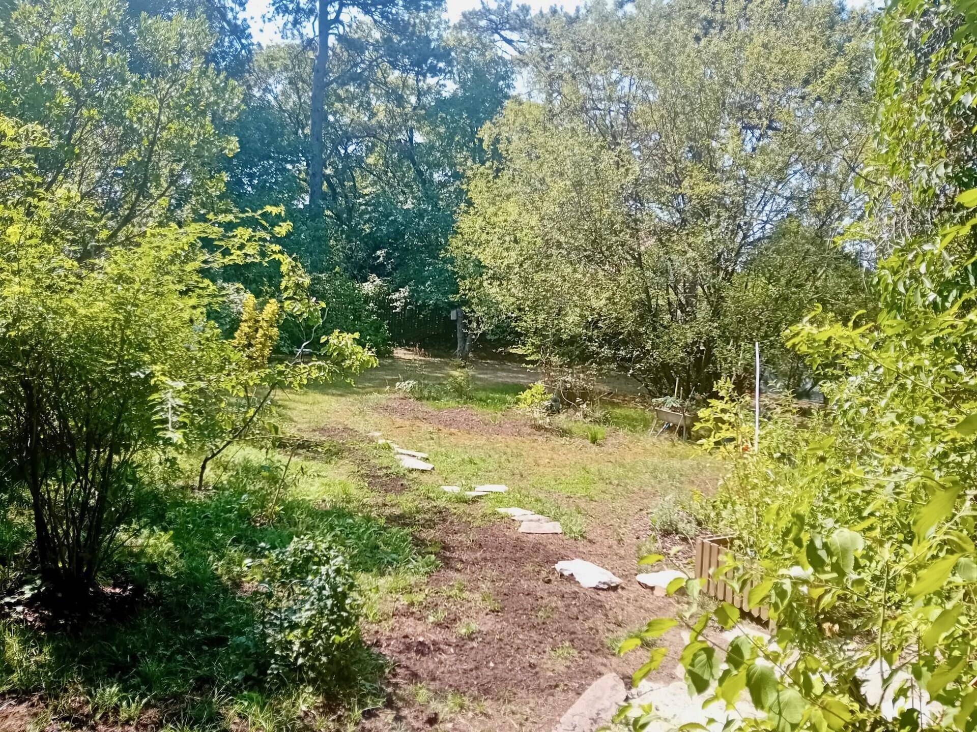 Naturbelassener Gartenweg führt durch eine grüne Landschaft mit Bäumen und Sträuchern.