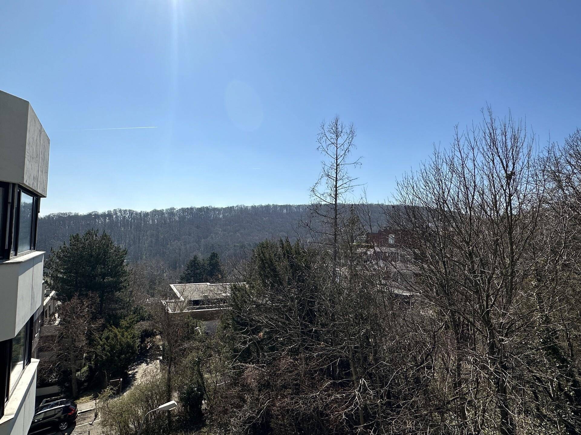 IMG_7914.jpeg
