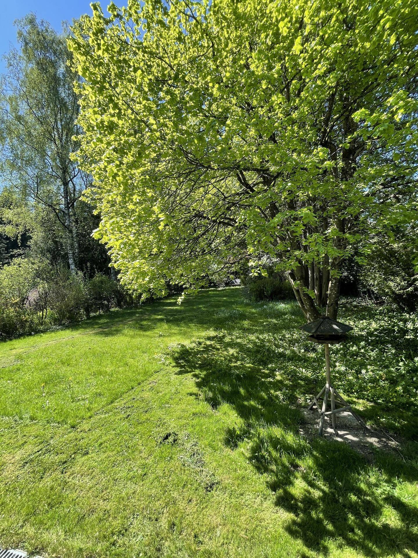 Weitläufige Rasenfläche im Garten mit schattenspendenden Bäumen und Vogelhäuschen.