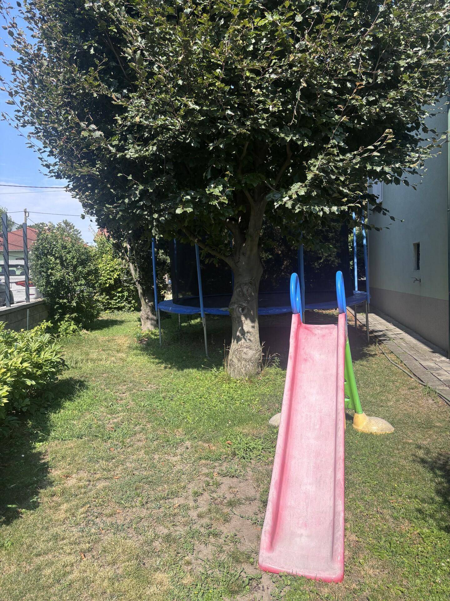 Grüner Gartenbereich mit einem Baum, einer Rutsche und einem Trampolin, ideal für Kinder zum Spielen.