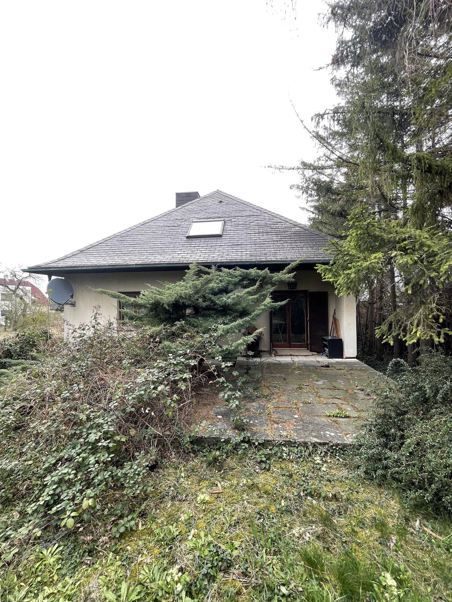 Rückansicht des Hauses mit Terrasse, umgeben von einem verwilderten Garten und hohen Bäumen.