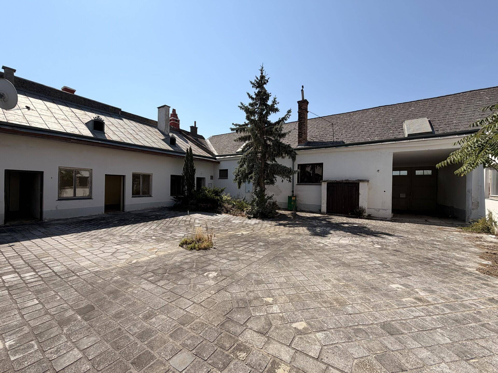 Großer gepflasterter Innenhof mit zentralem Nadelbaum, umgeben von Gebäuden.