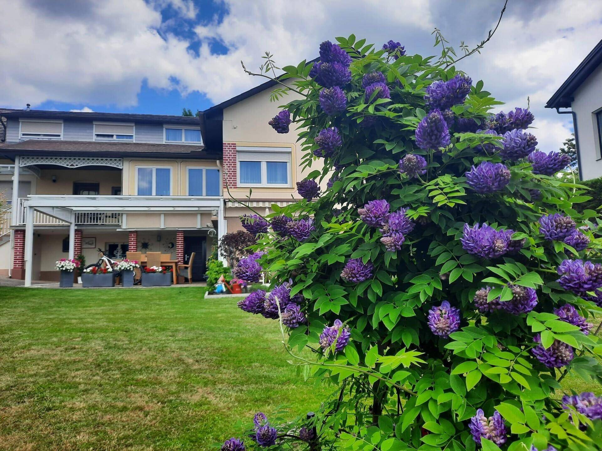 Hausansicht vom Garten aus, mit blühendem Strauch im Vordergrund und Terrasse.