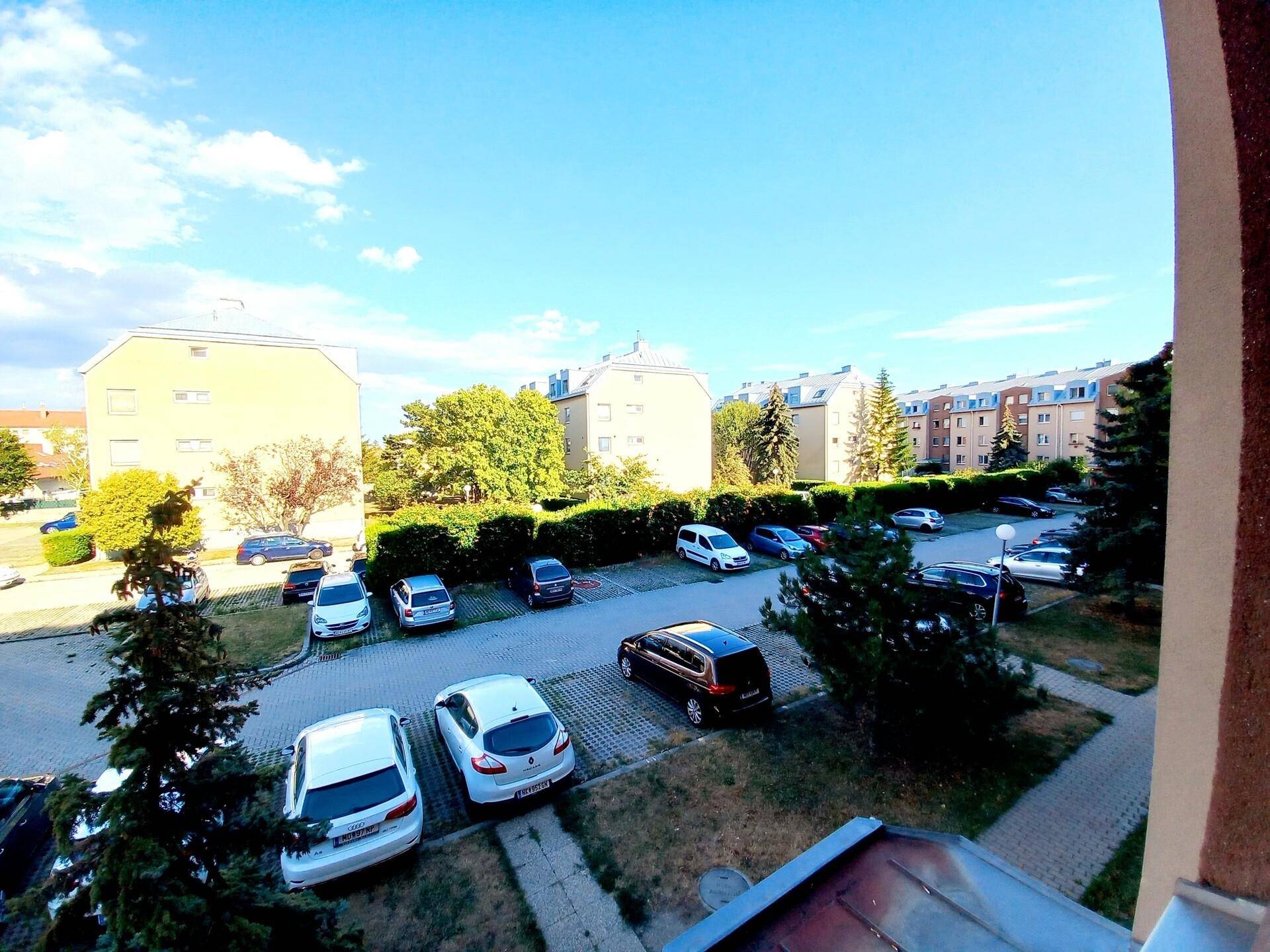 20220801_174314.jpg