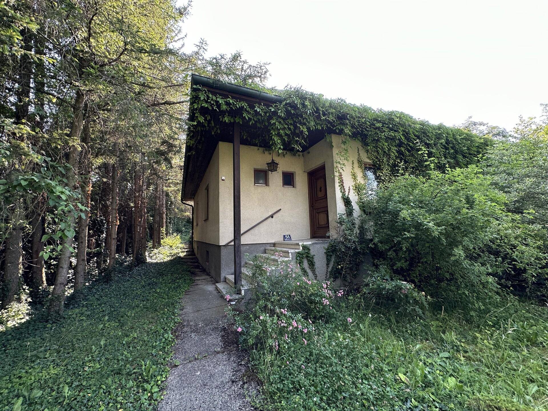 Kleines Haus mit bewachsenem Dach und Fassade, umgeben von dichtem Wald und einem verwilderten Gartenweg.