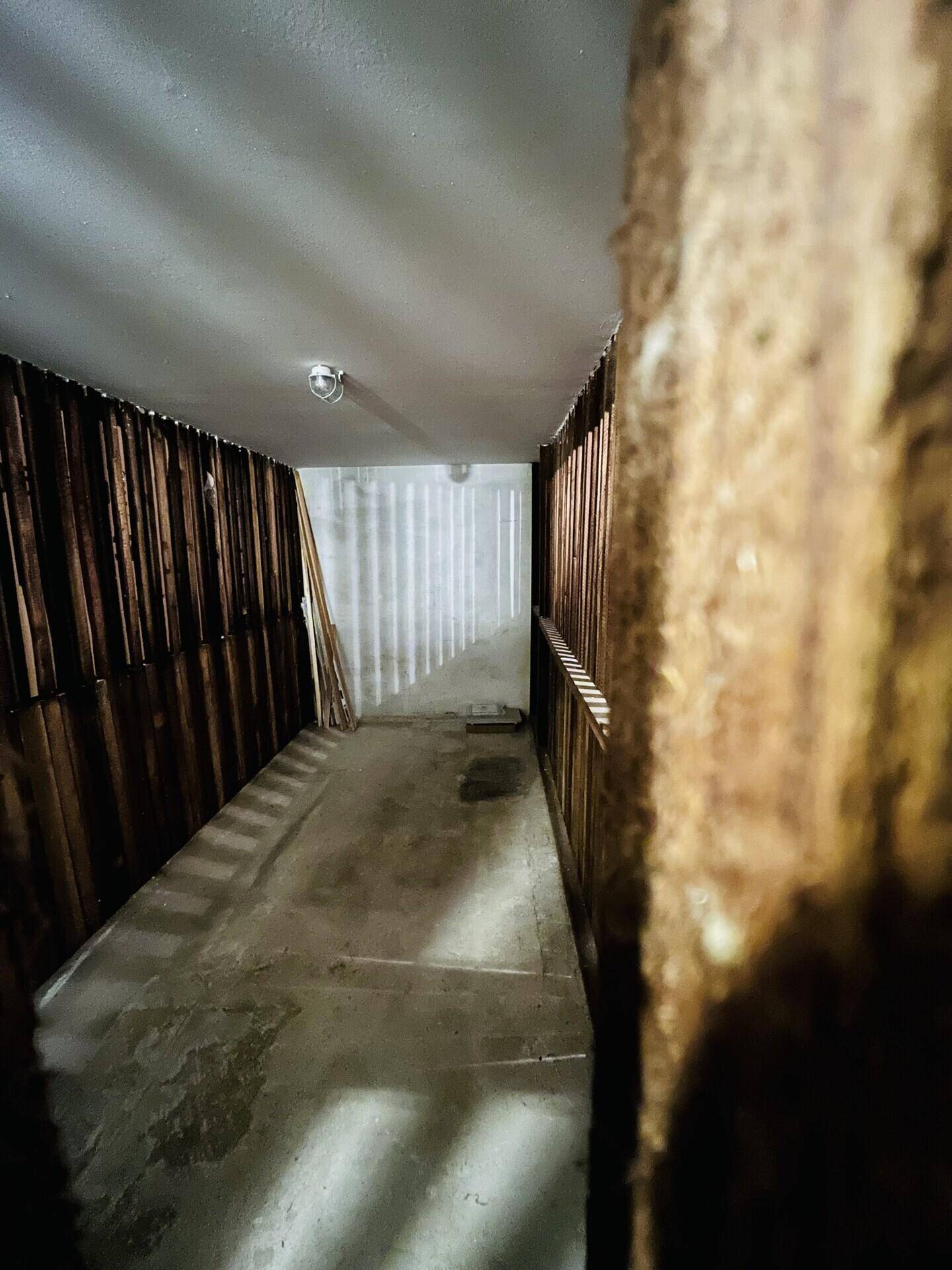 Unfertiger Kellerraum mit Betonboden und Holzverkleidung, bereit für den Ausbau.