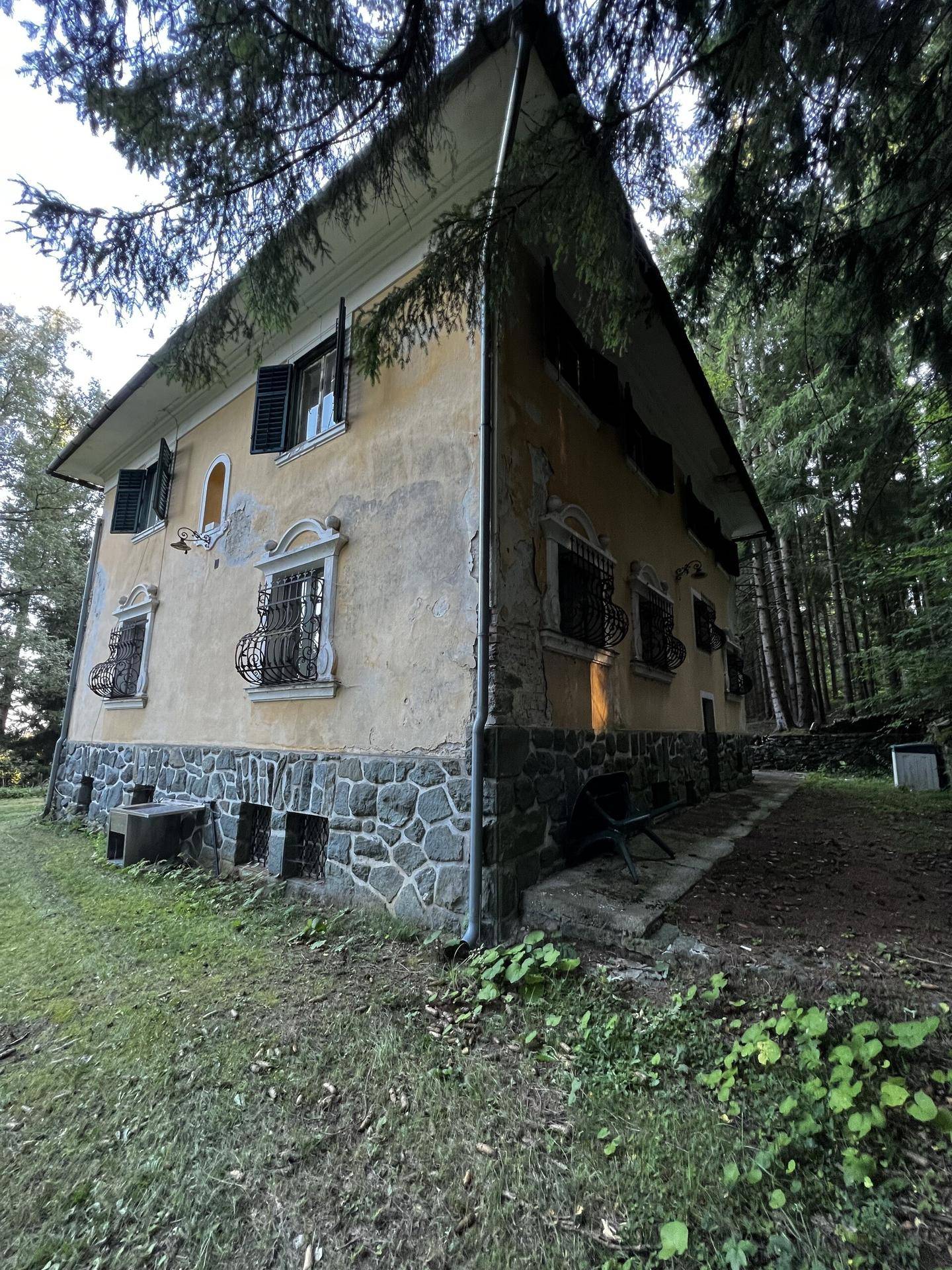Haus