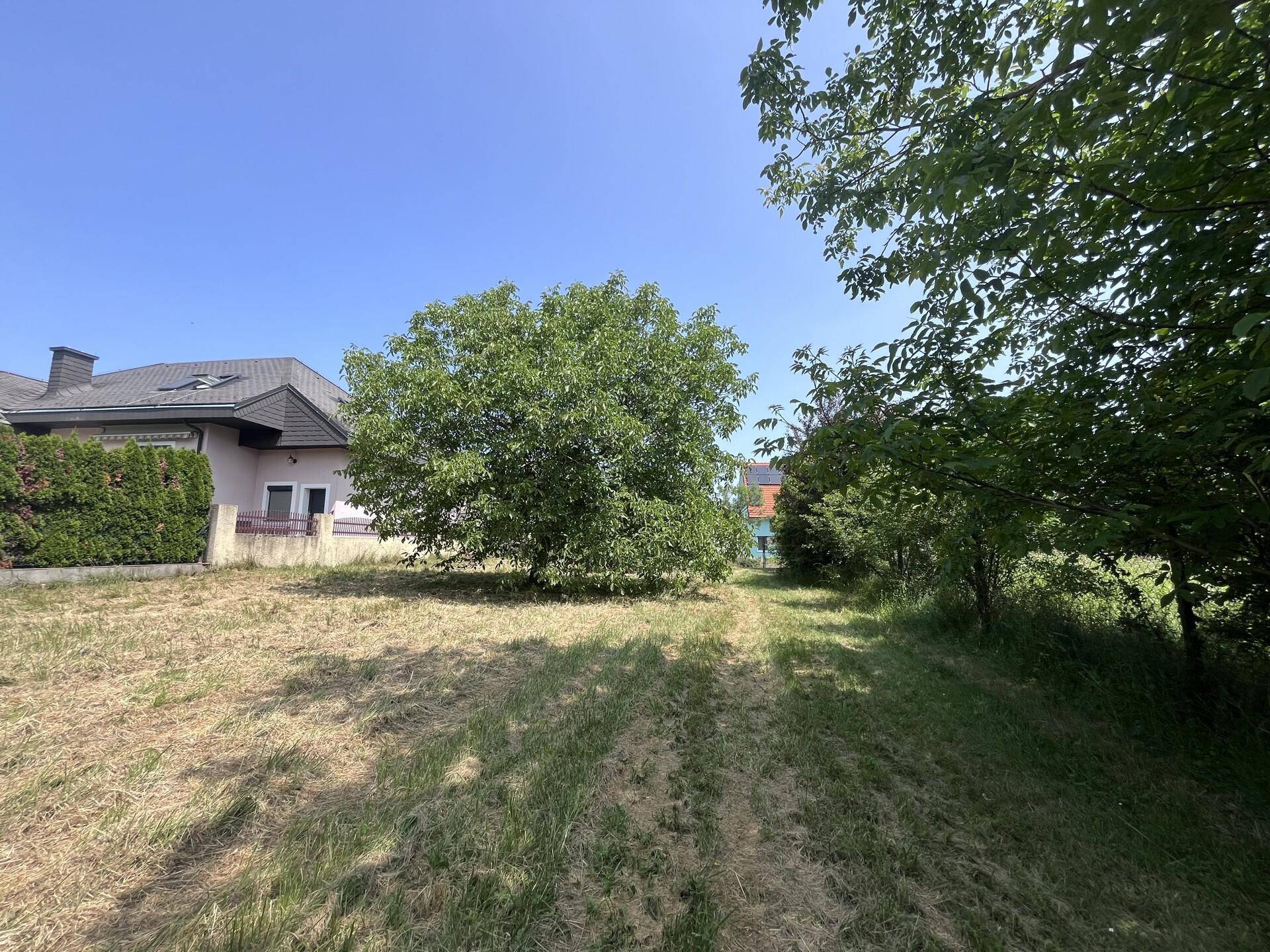 Sonnige Rasenfläche mit einem Wohnhaus im Hintergrund, umgeben von Bäumen.