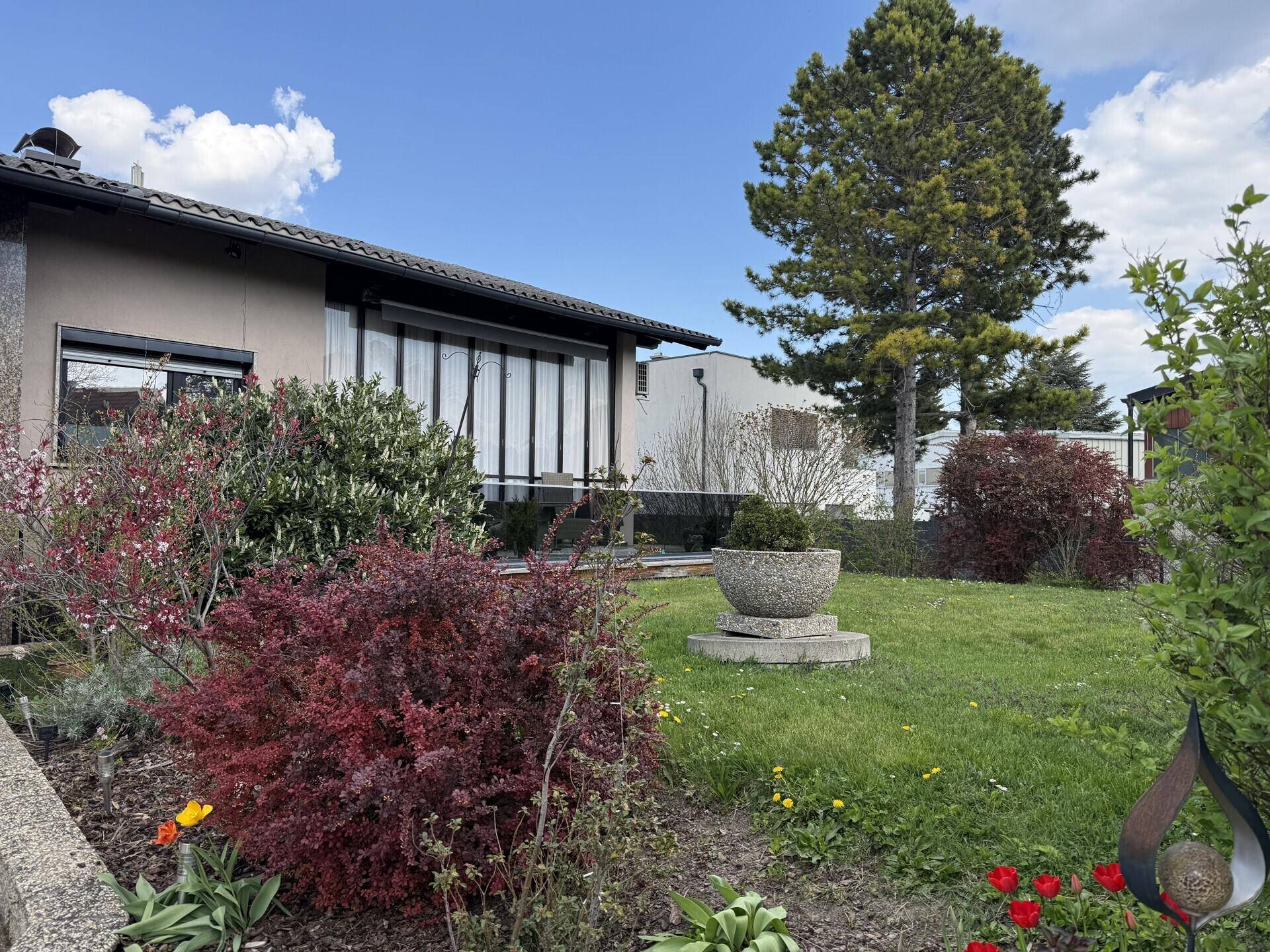 Gepflegter Gartenbereich mit Rasenfläche, blühenden Sträuchern und Blick auf das Haus.