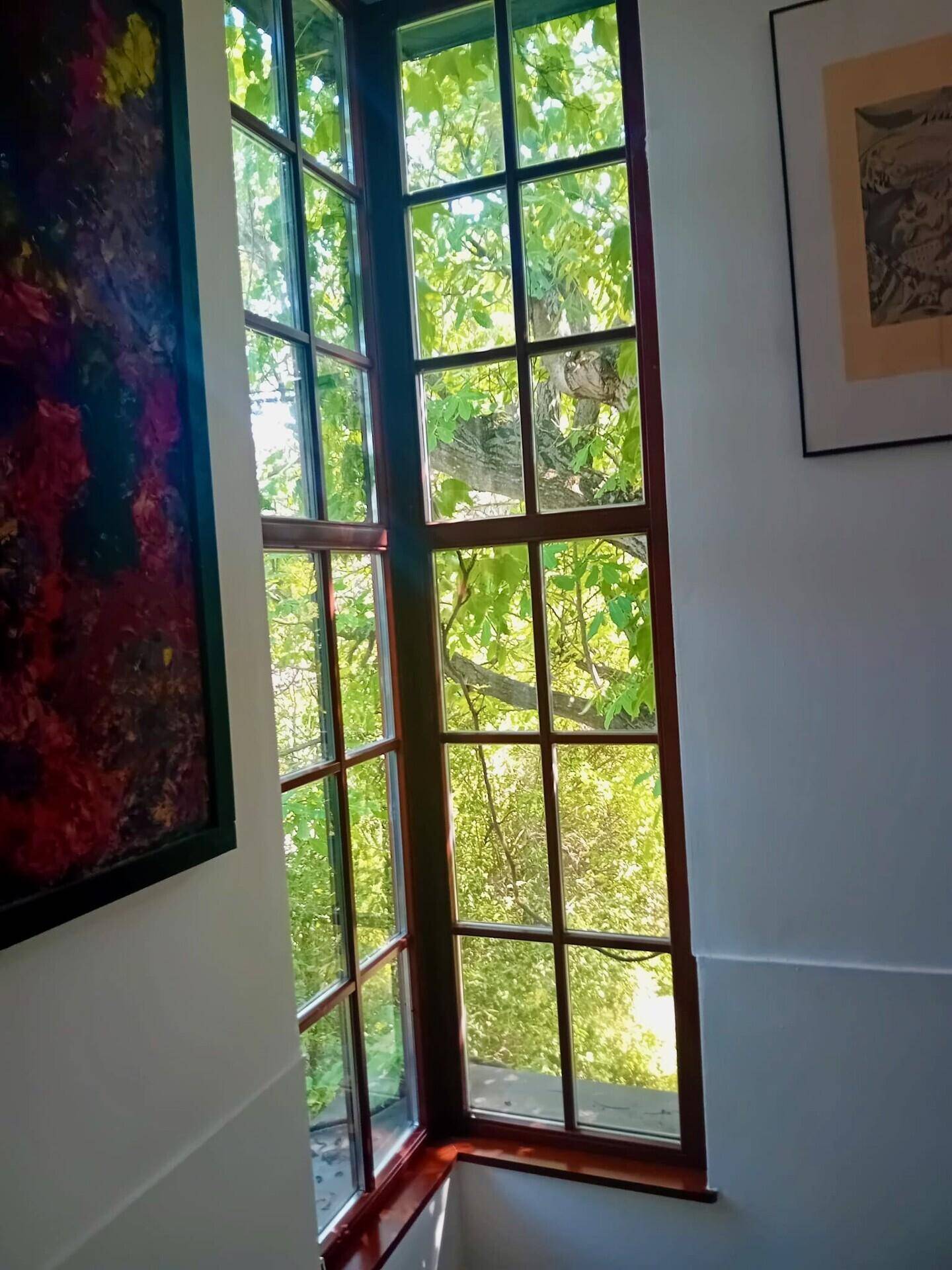 Hohes Eckfenster mit Sprossen bietet einen schönen Blick auf das umliegende Grün und Bäume.