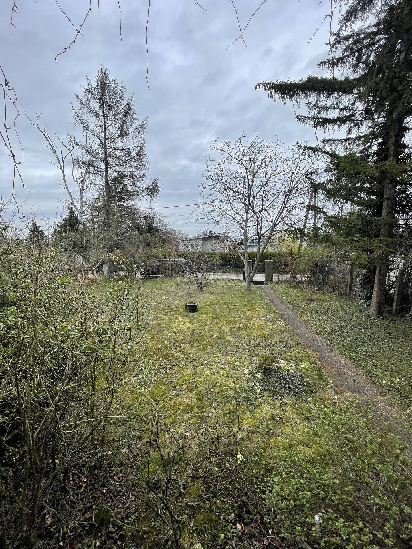 Weitläufiger Gartenbereich mit Rasenfläche, verschiedenen Bäumen und Sträuchern unter einem grauen Himmel.