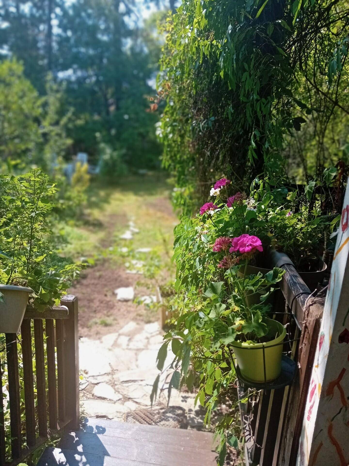 Holztreppe führt hinunter zu einem Steinweg, umgeben von blühenden Pflanzen im Garten.