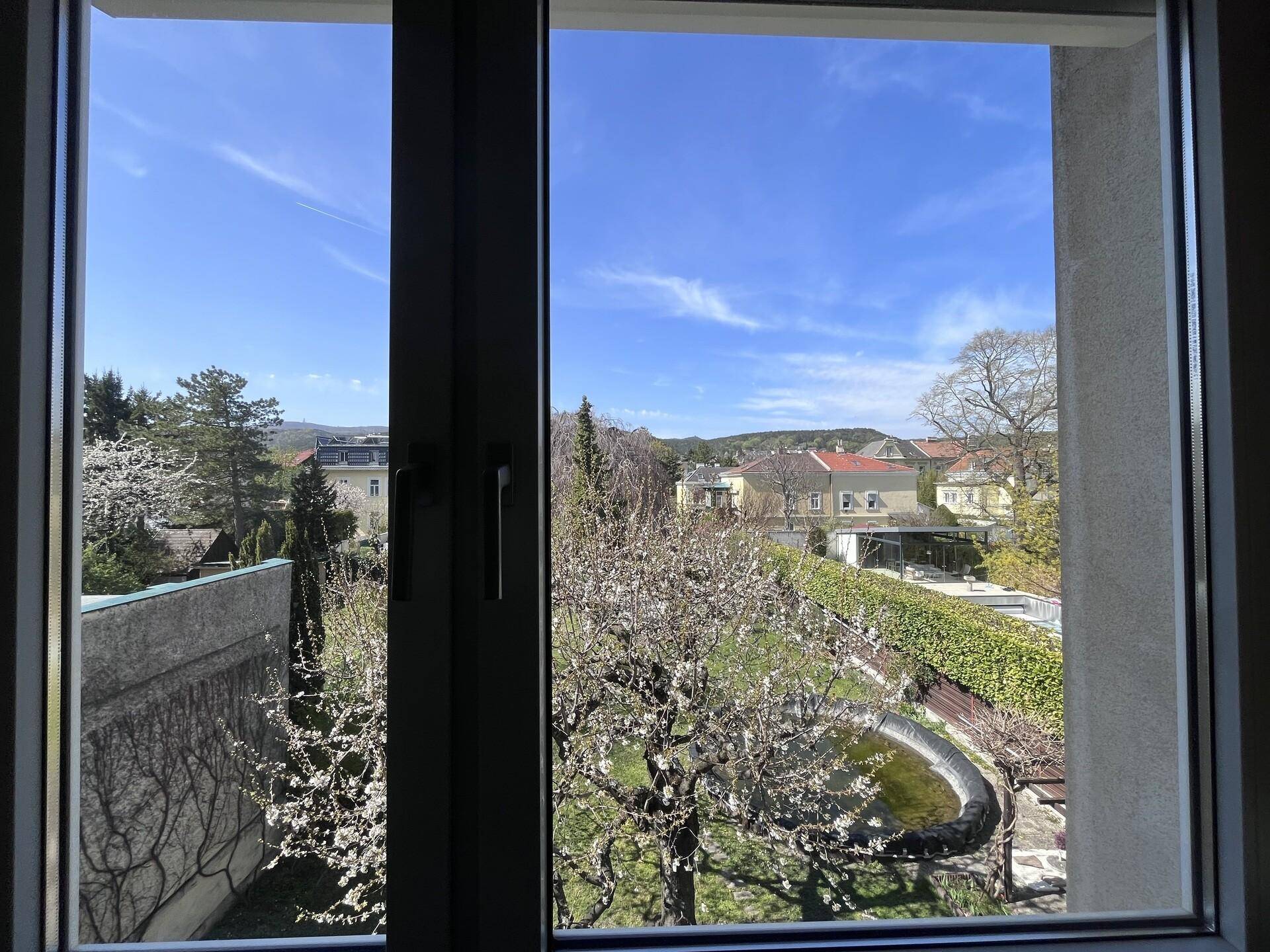 IMG_7592.jpeg