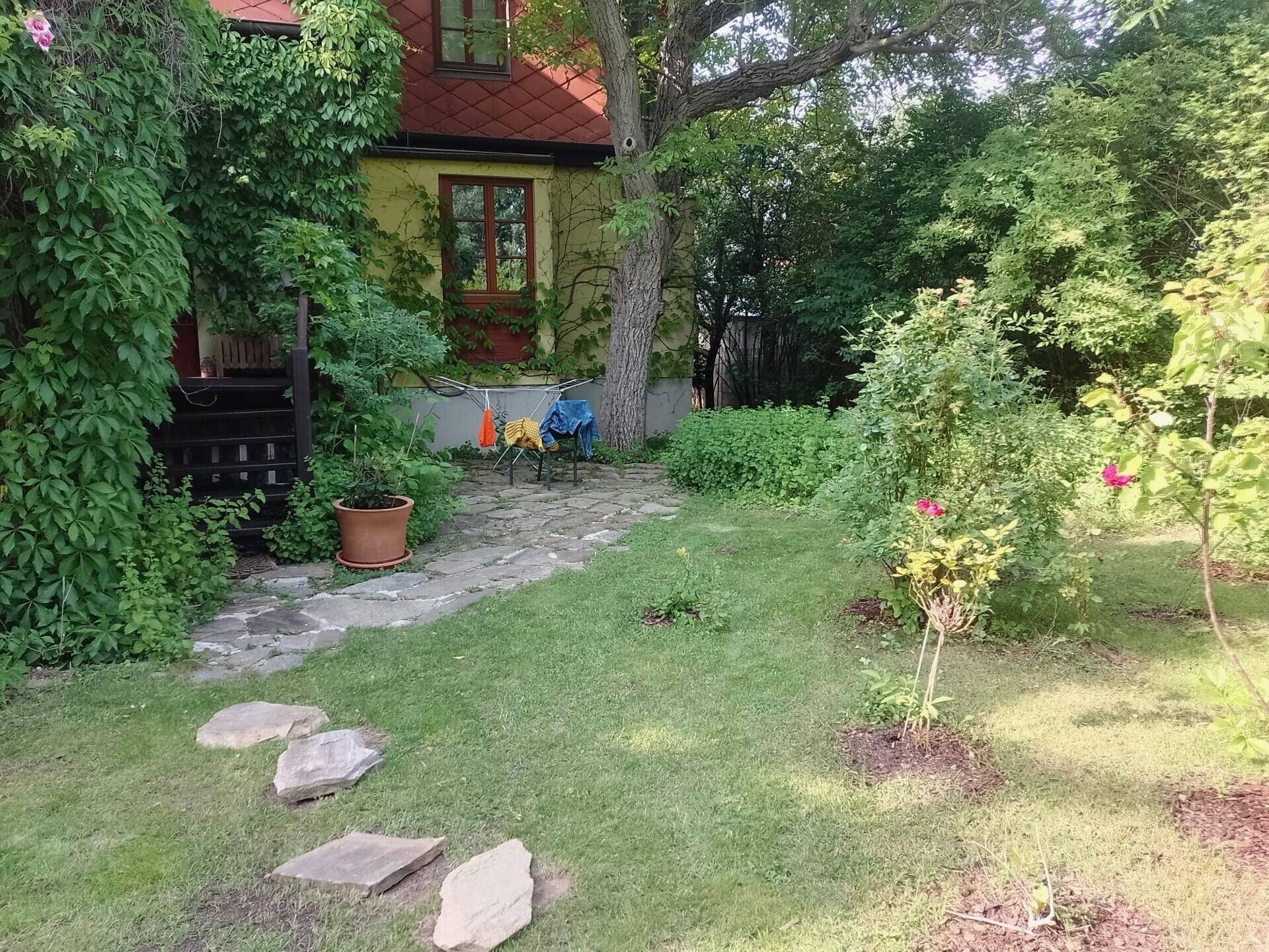 Gepflegter Rasenbereich im Garten neben dem Haus mit üppiger Vegetation.