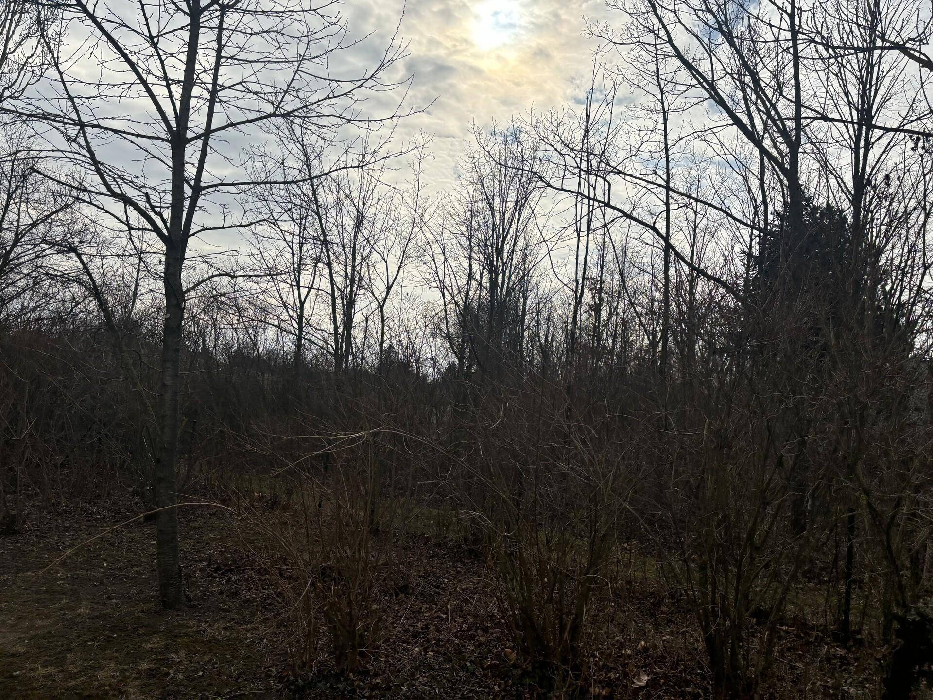 IMG_8817.jpeg