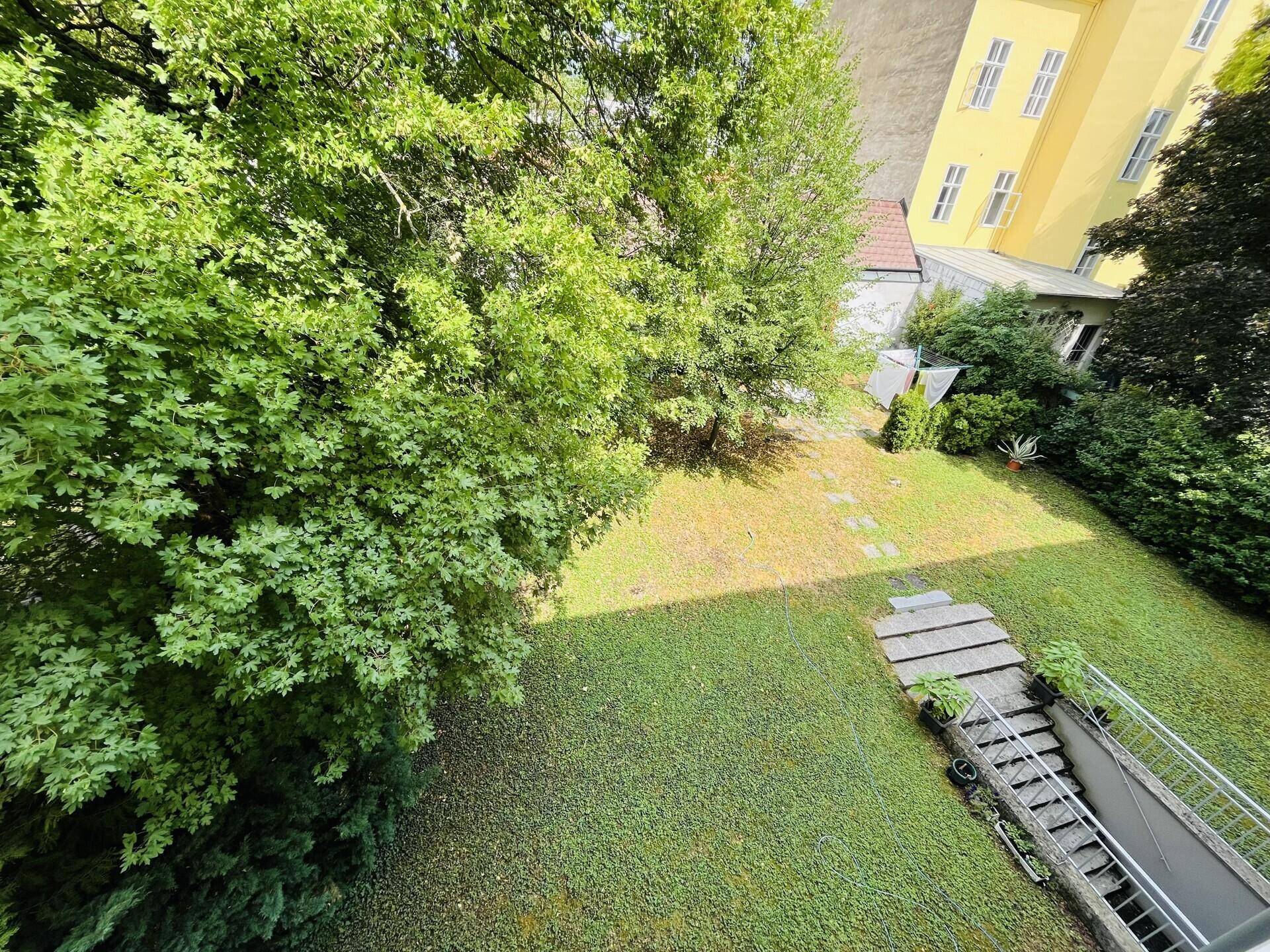 Gepflegter Gartenbereich mit Rasenfläche und altem Baumbestand.
