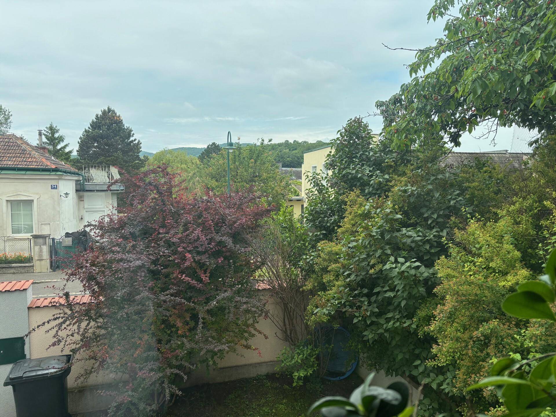 Blick aus dem Fenster auf einen grünen Garten mit Bäumen und Sträuchern sowie entfernten Hügeln.