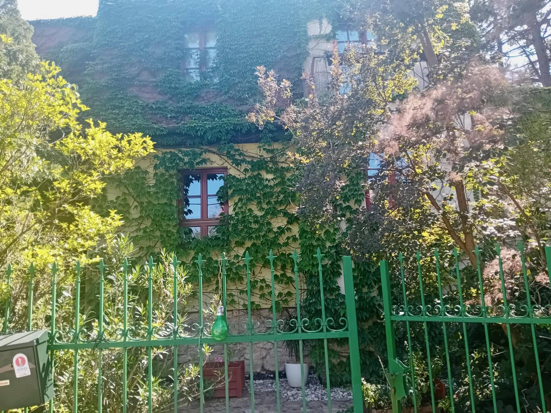 Fassade eines Hauses, vollständig mit Kletterpflanzen bewachsen, hinter einem grünen Metallzaun.